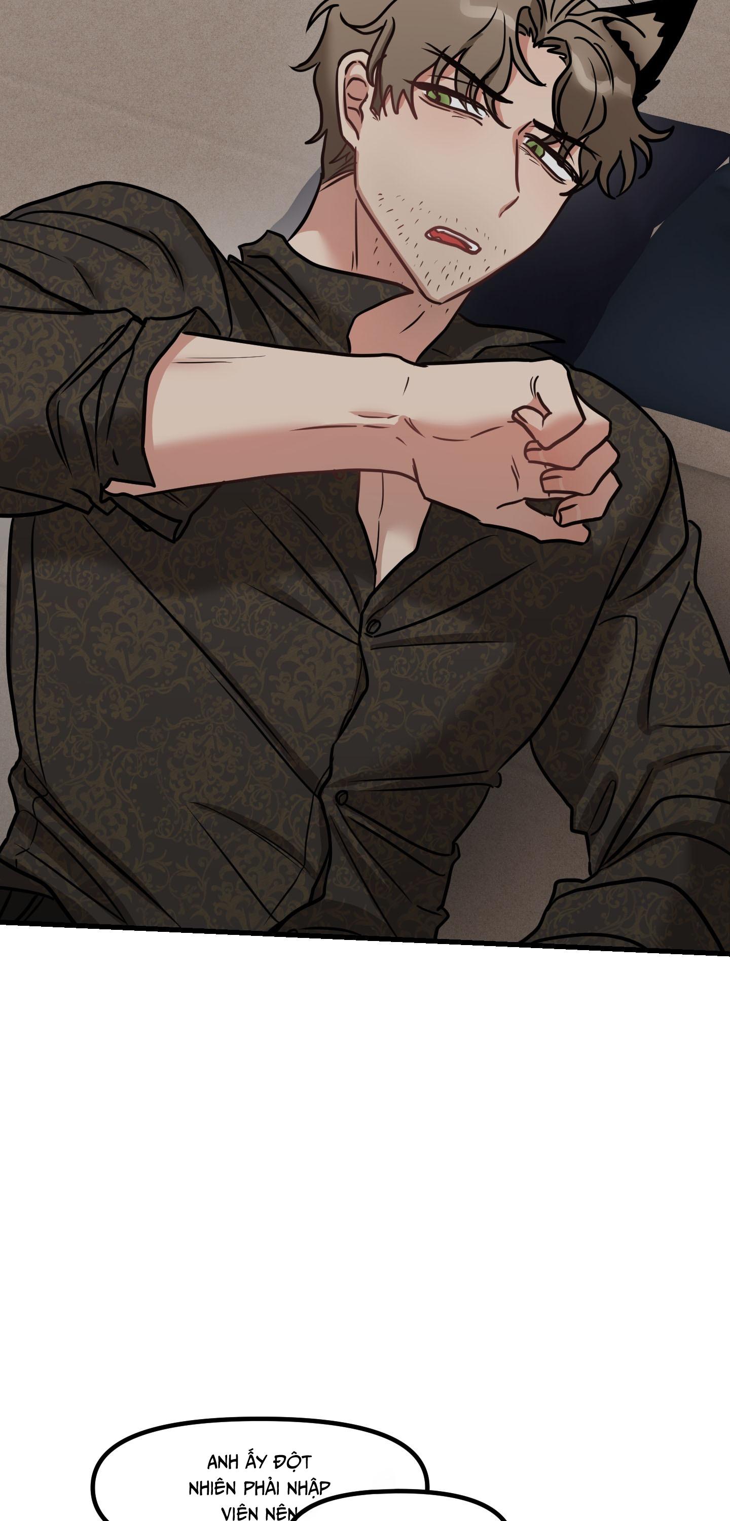 THƯA NGÀI HỔ, TÔI ĐÃ ĂN RẤT NGON MIỆNG Chapter 33 - Next 