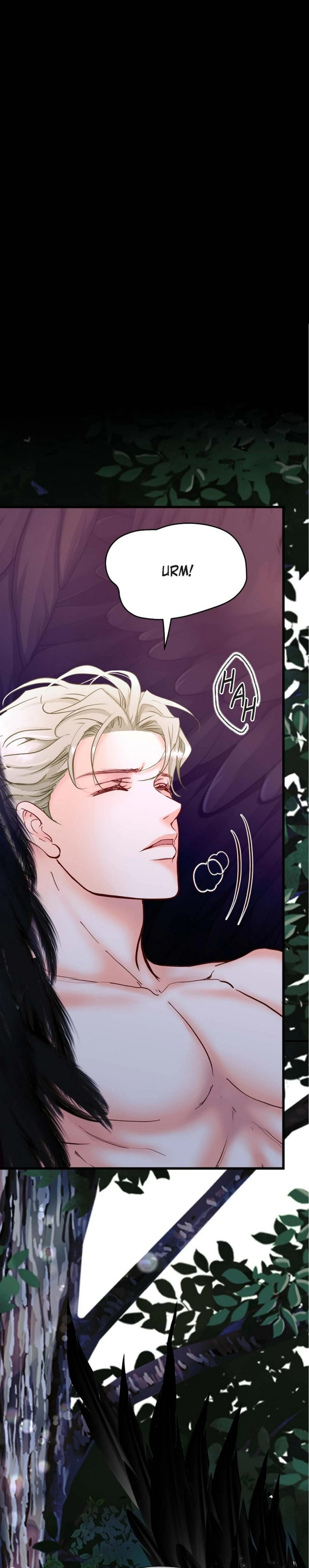 Hôn Thê Của Bóng Tối Chapter 17 Hachiennhom - Next Chapter 18 Hachiennhom