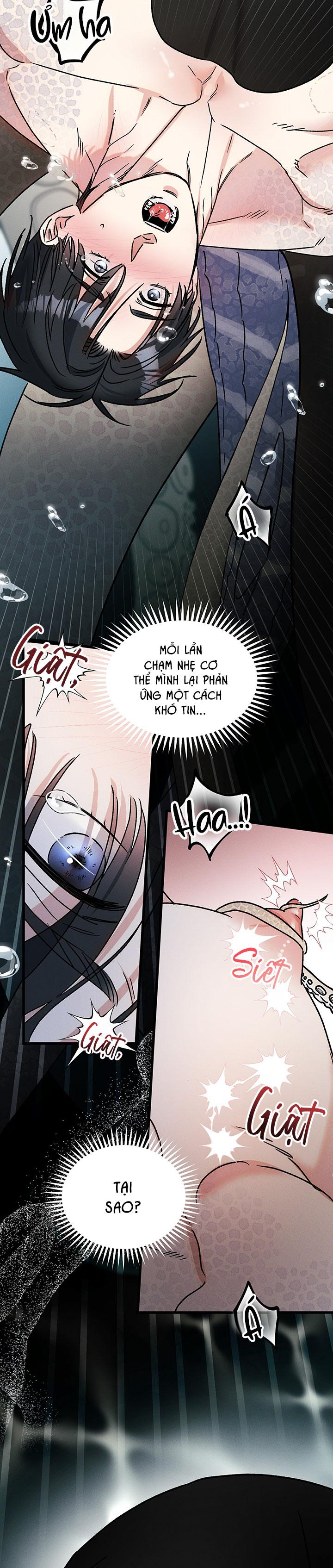 Mermaid's Cradle Chapter 3 - Trang 2