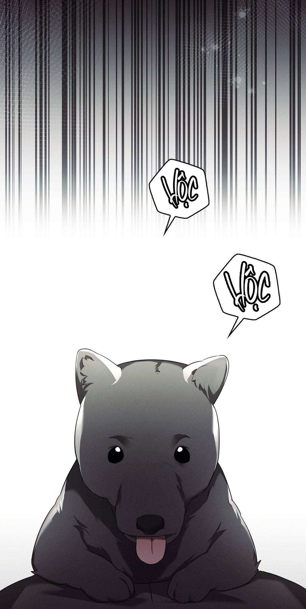 BLOOD POKER Chapter 15 - Next 