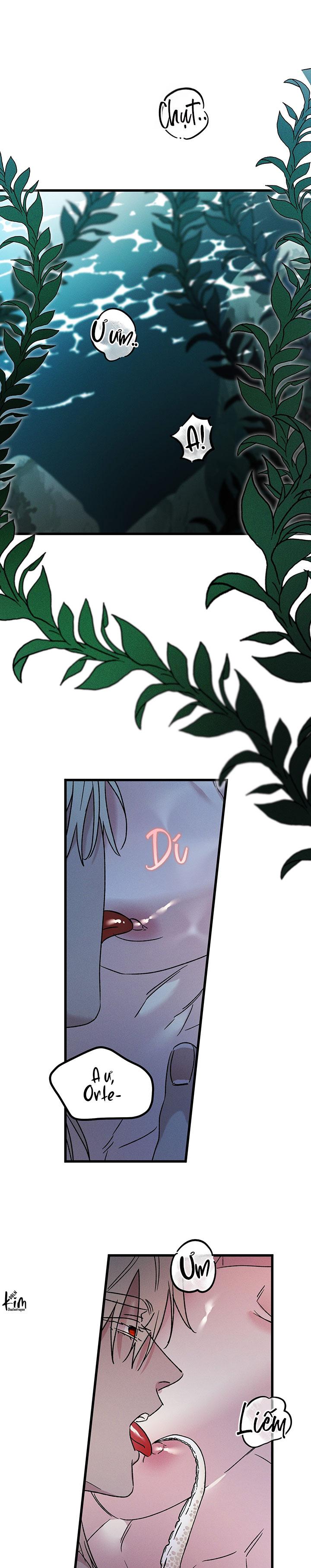 Mermaid's Cradle Chapter 12 - Next 