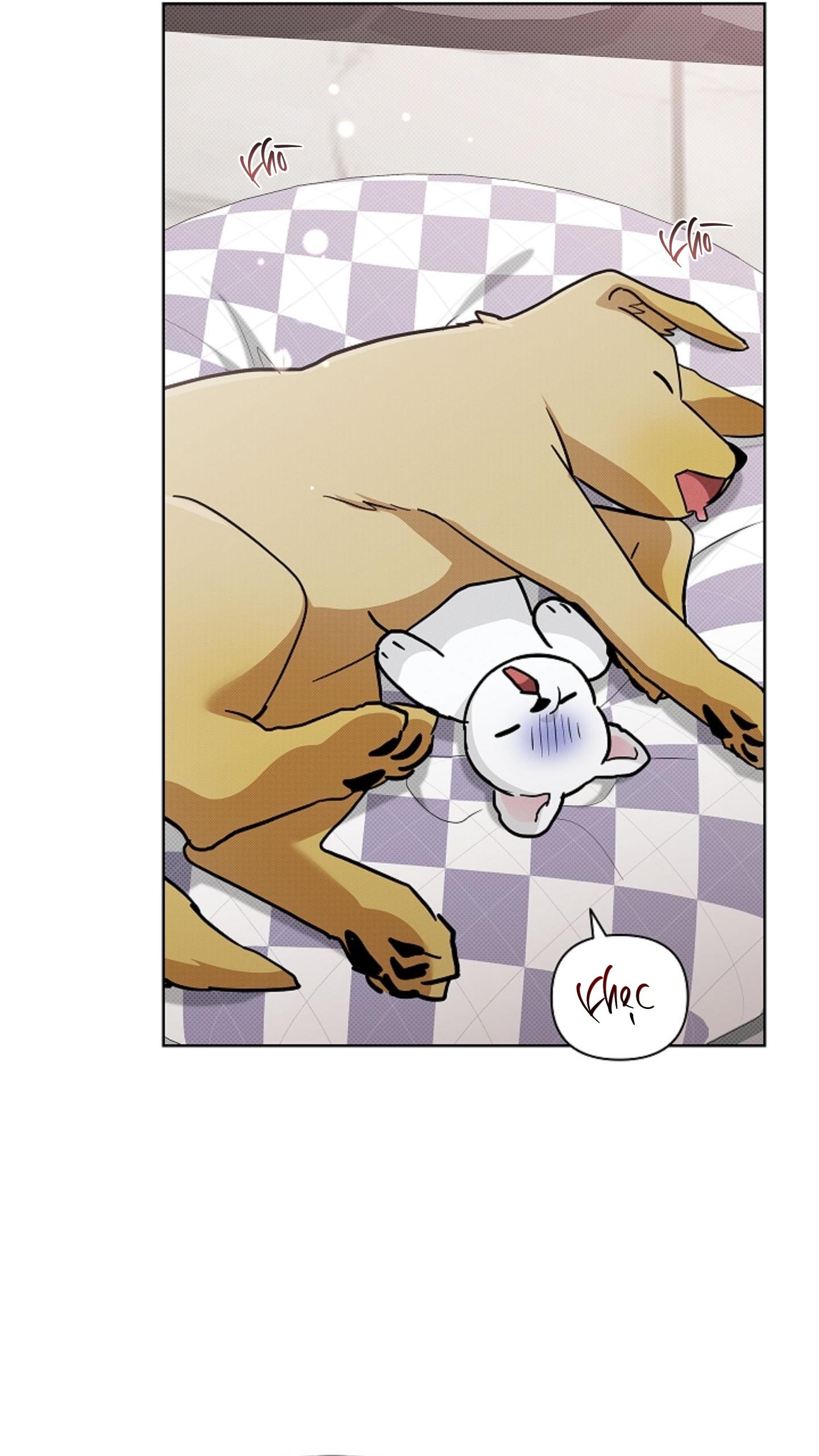 ĐỪNG CHẠM VÀO CÚN CON CỦA TÔI Chapter 47 NT 3 - Next 