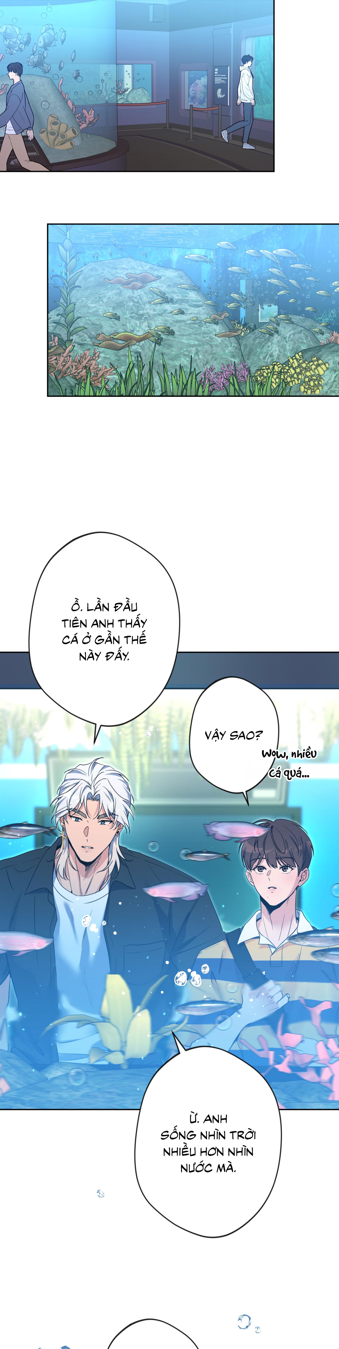 Angel kiss Chapter 50 End ss2 - Next 
