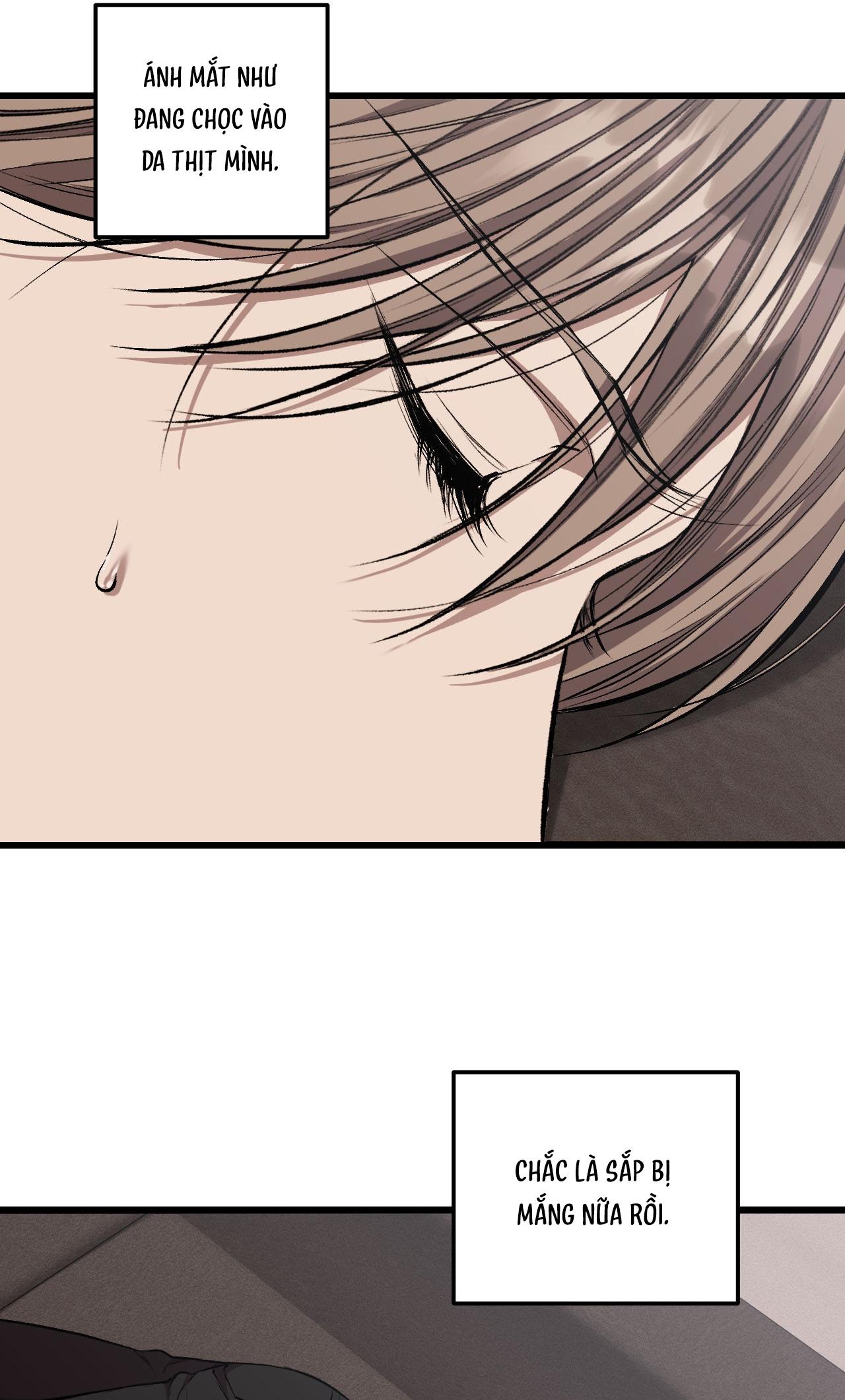 PHI VỤ BẨN THỈU Chapter 52 H - Next 