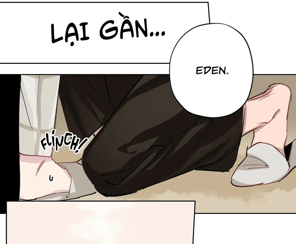 Phù Thủy Xứ Eden Chapter 16 - Next Chapter 17