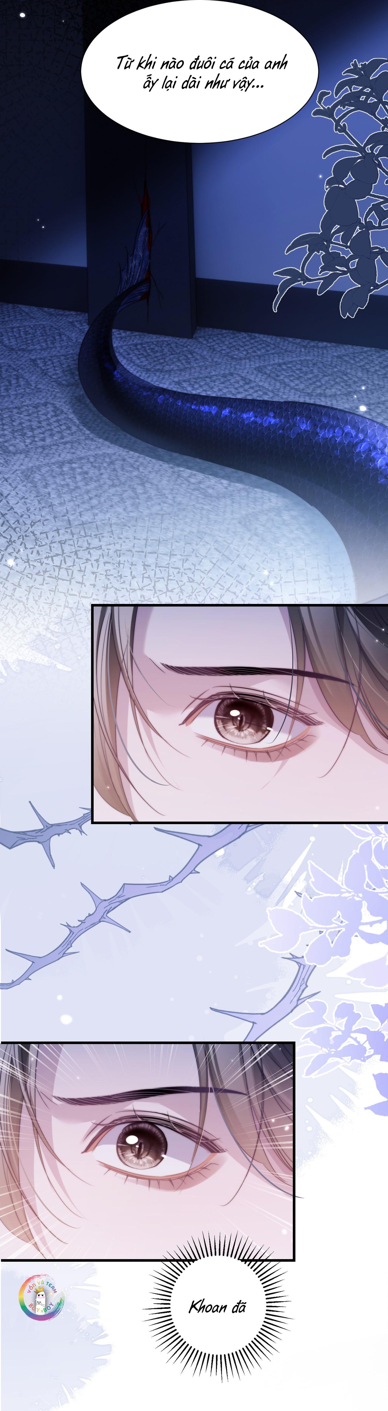 Nhân Ngư Desharow Chapter 116 - Trang 2