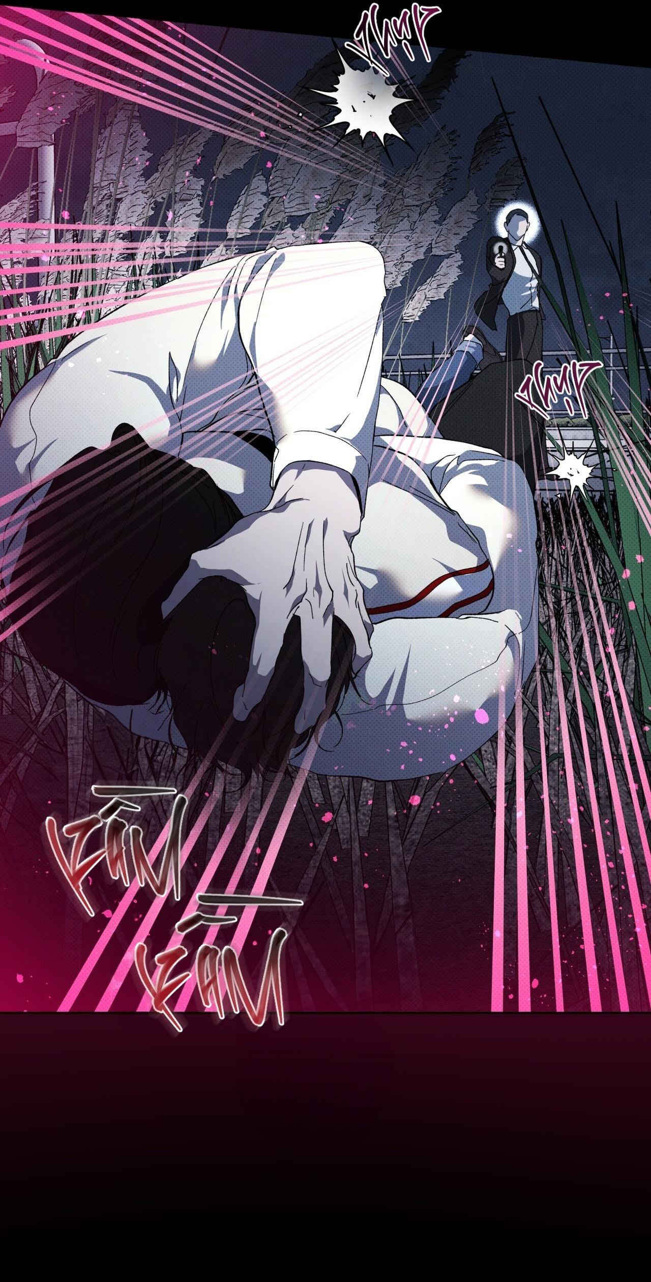 HÌNH THÁI TIẾN HÓA Chapter 13 - Next 