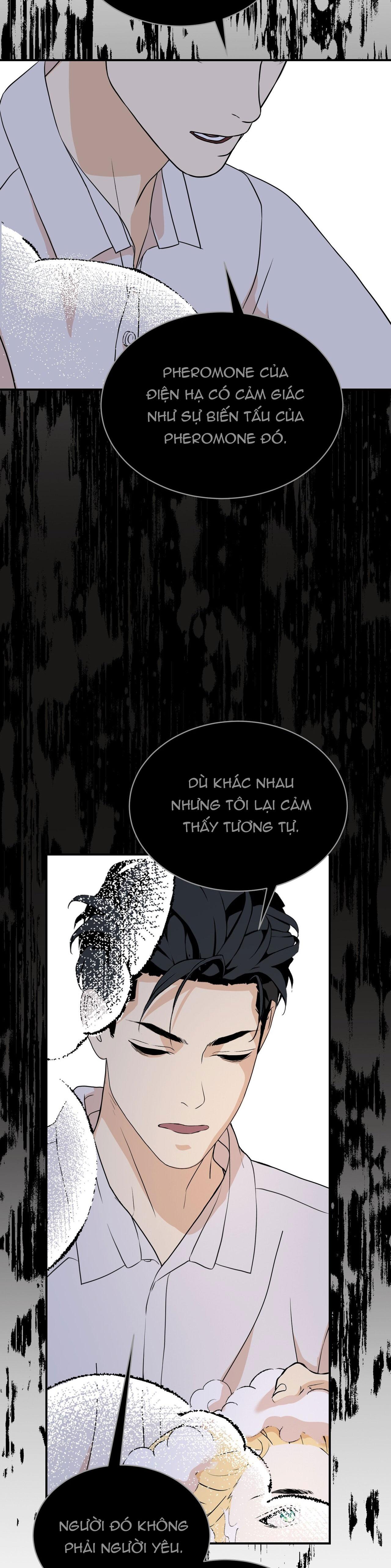 (ABO) ĐÁM CƯỚI HOÀNG GIA Chapter 43 - Next 