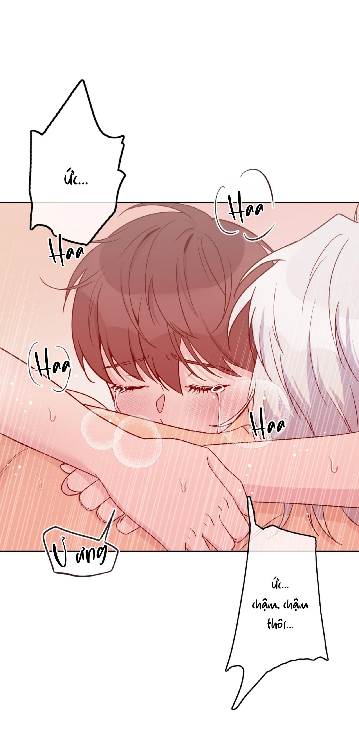 Angel kiss Chapter 22 - Next 