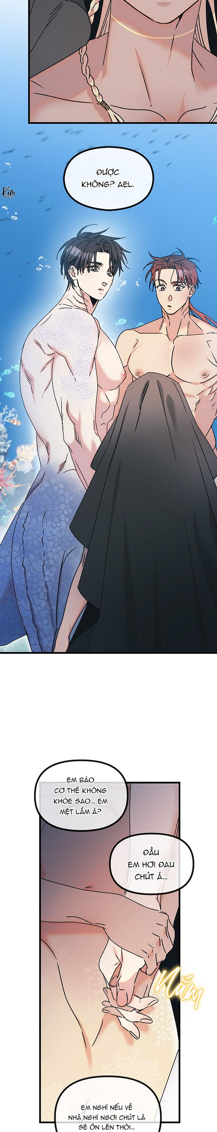 Mermaid's Cradle Chapter 1 - Next 