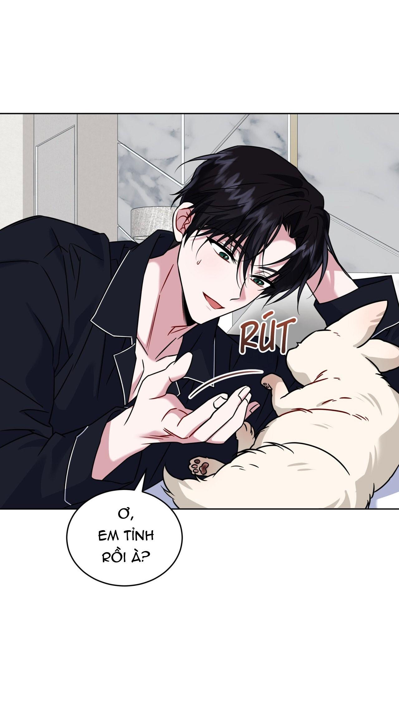 NƯỚC UỐNG TÌNH YÊU CỦA CÁO PLIN Chapter 46 - Next Chapter 47