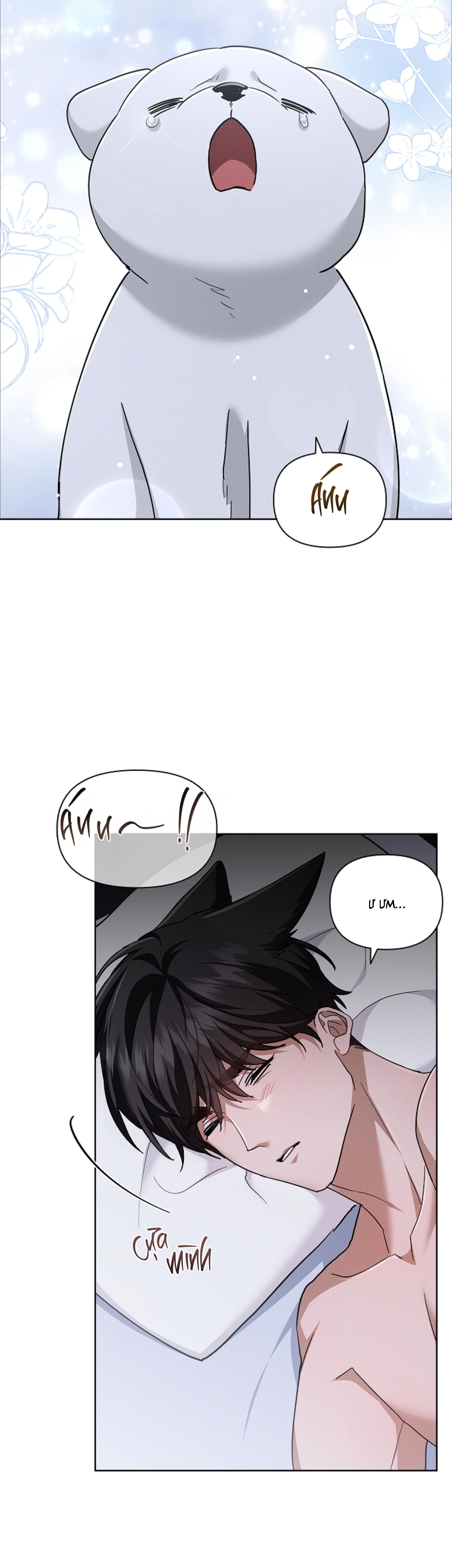 ĐỪNG CHẠM VÀO CÚN CON CỦA TÔI Chapter 49 NT5 - Next 