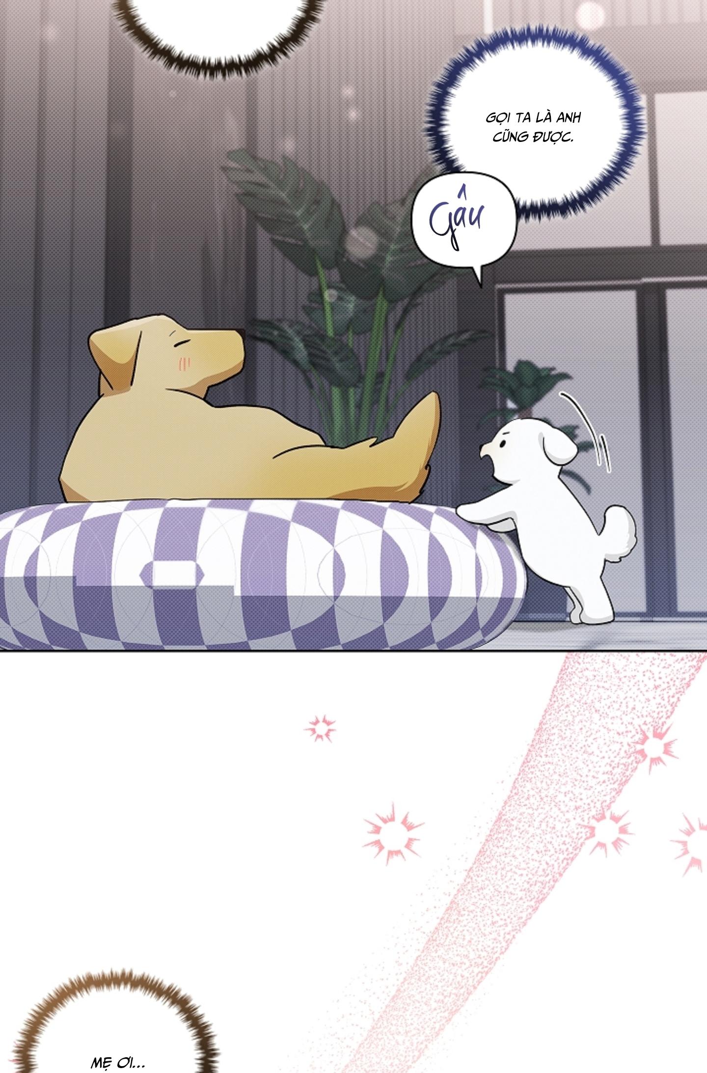 ĐỪNG CHẠM VÀO CÚN CON CỦA TÔI Chapter 47 NT 3 - Next 