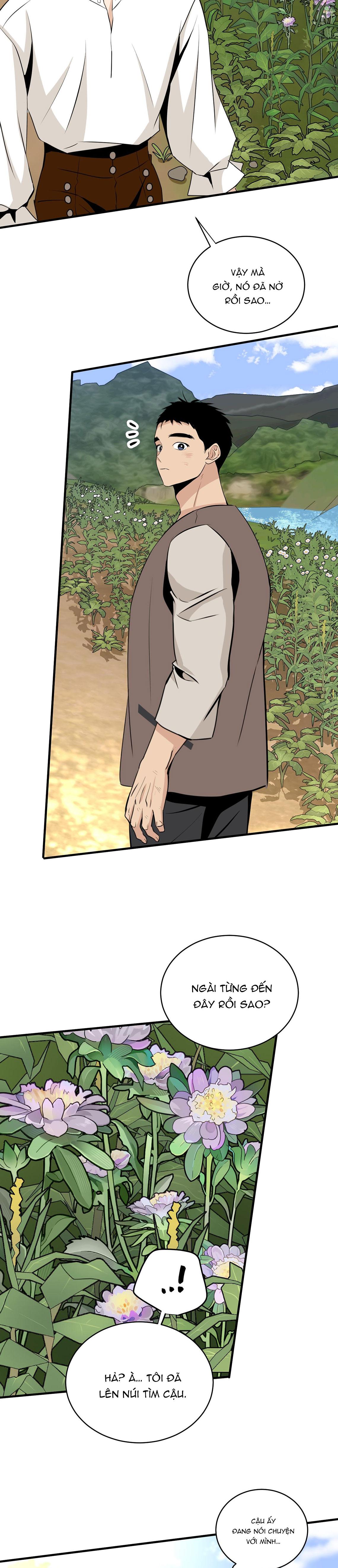 LOÀI HOA KHÔNG TÊN Chapter 22 - Next 