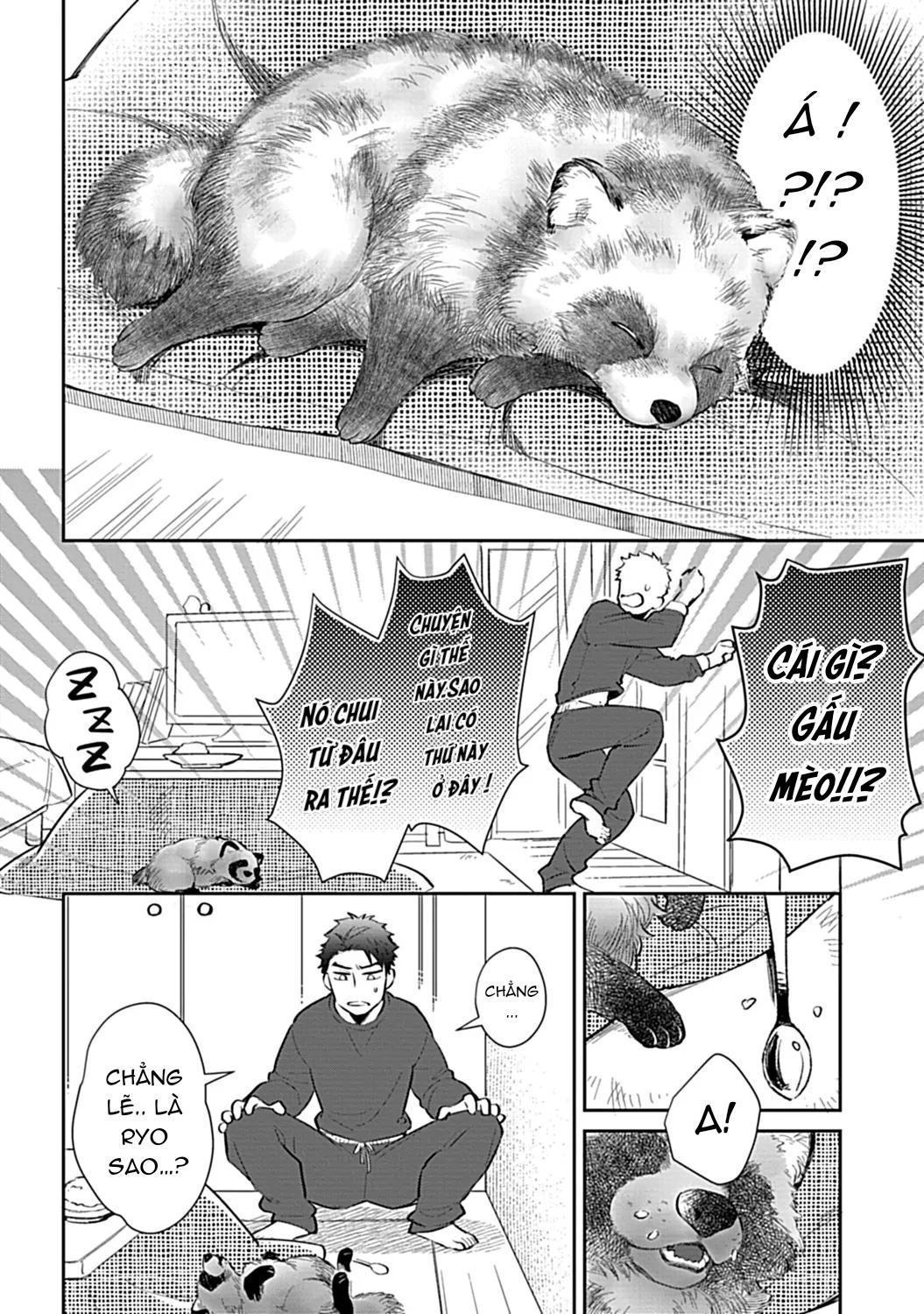 Trở Thành Một Gia Đình Cùng Hai Anh Em Tanuki Chapter 1 - Next 