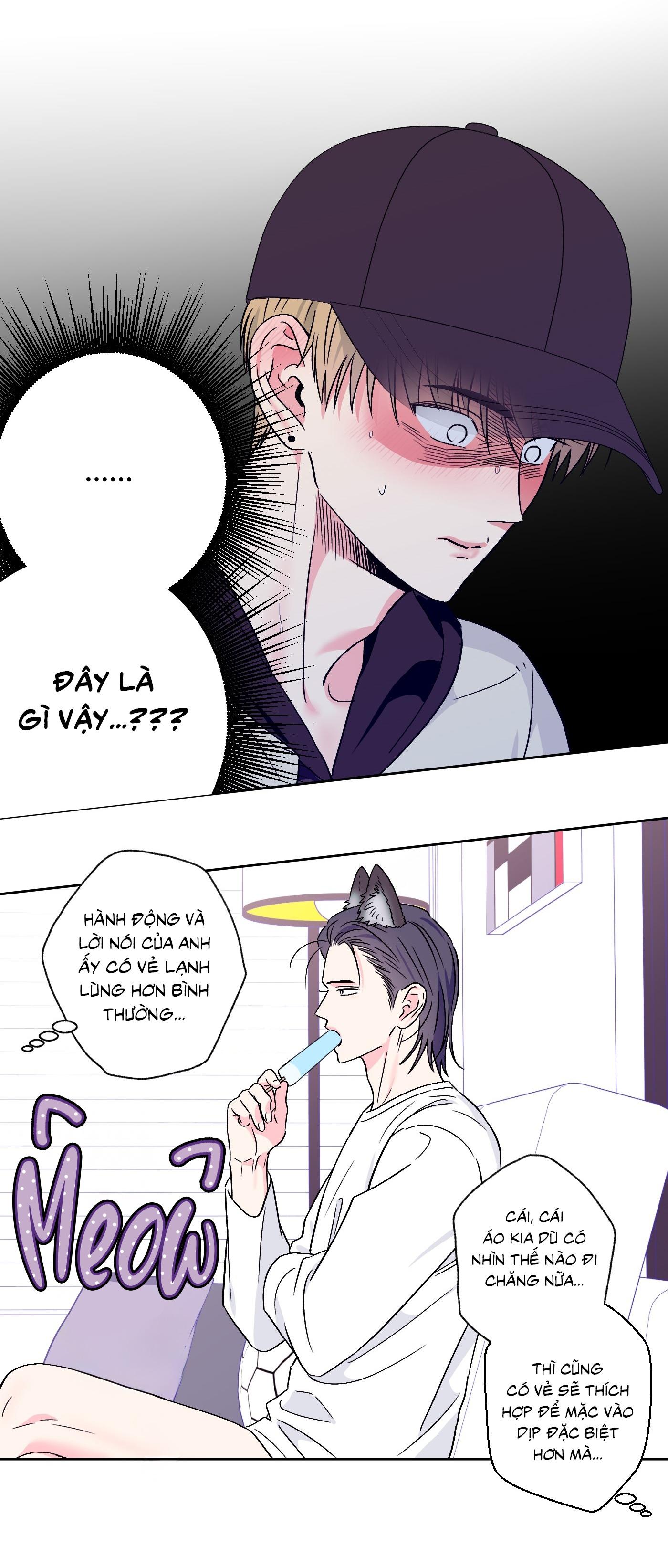 Vụ bê bối của Beta Chapter 55 Bé mèo - Next 