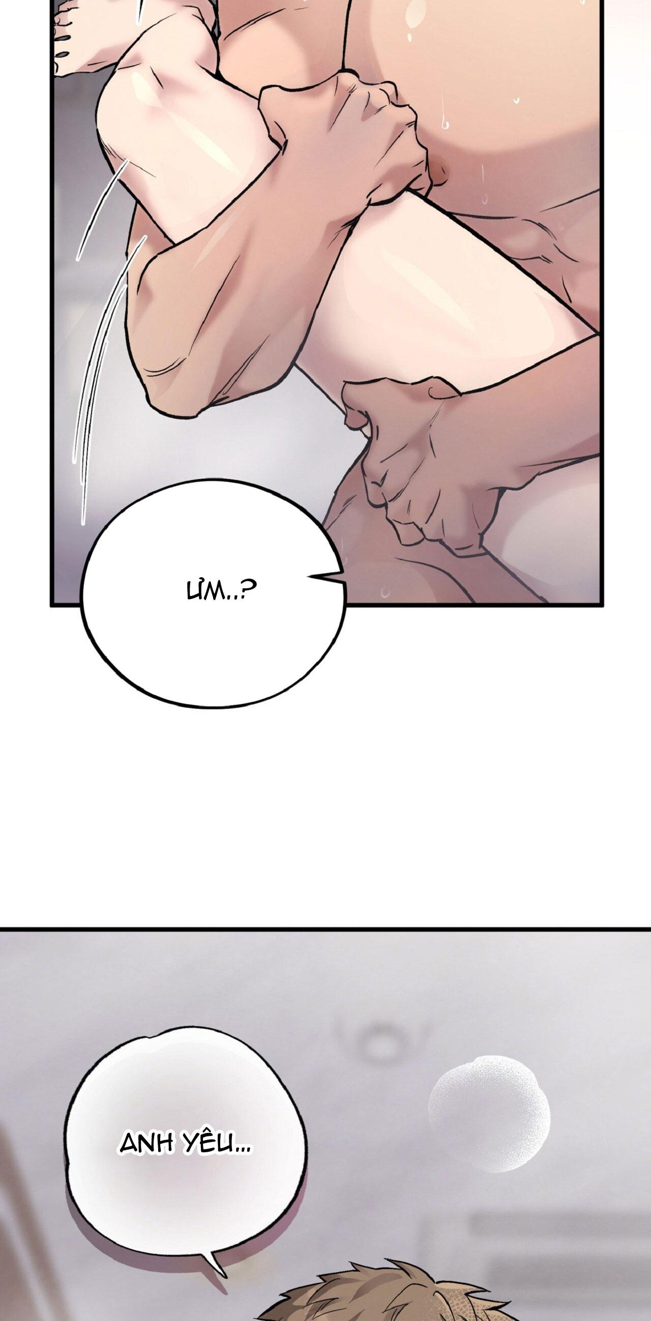 HONEY BEAR Chapter 67 - Next Chapter 68