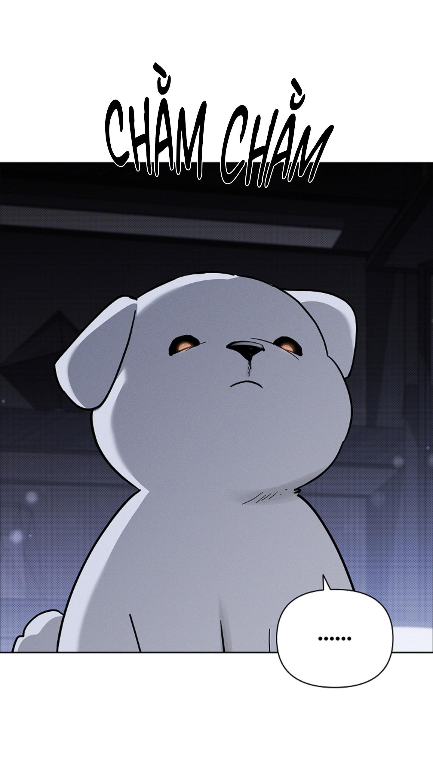 ĐỪNG ĐỘNG VÀO CÚN CON! Chapter 44.05 - Next 