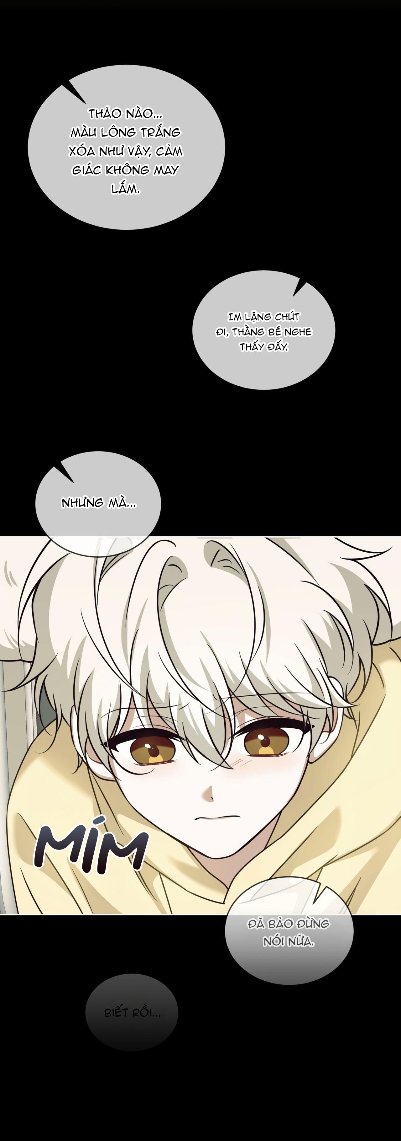 NƯỚC UỐNG TÌNH YÊU CỦA CÁO PLIN Chapter 45 - Next Chapter 46