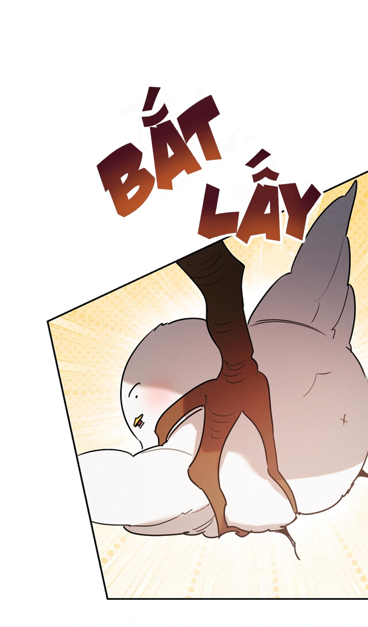Này, Đừng Có Nhấn Cái Nút Đó! Chapter 50 - Next 