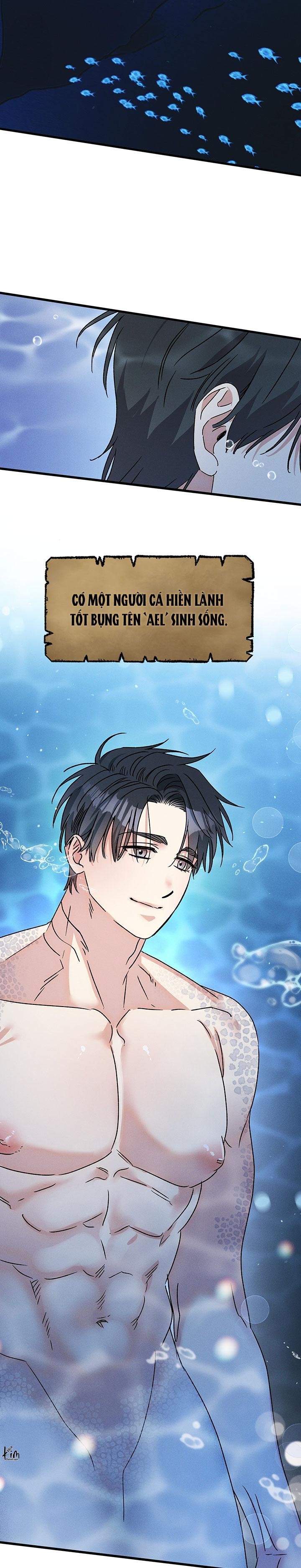 Mermaid's Cradle Chapter 1 - Next 