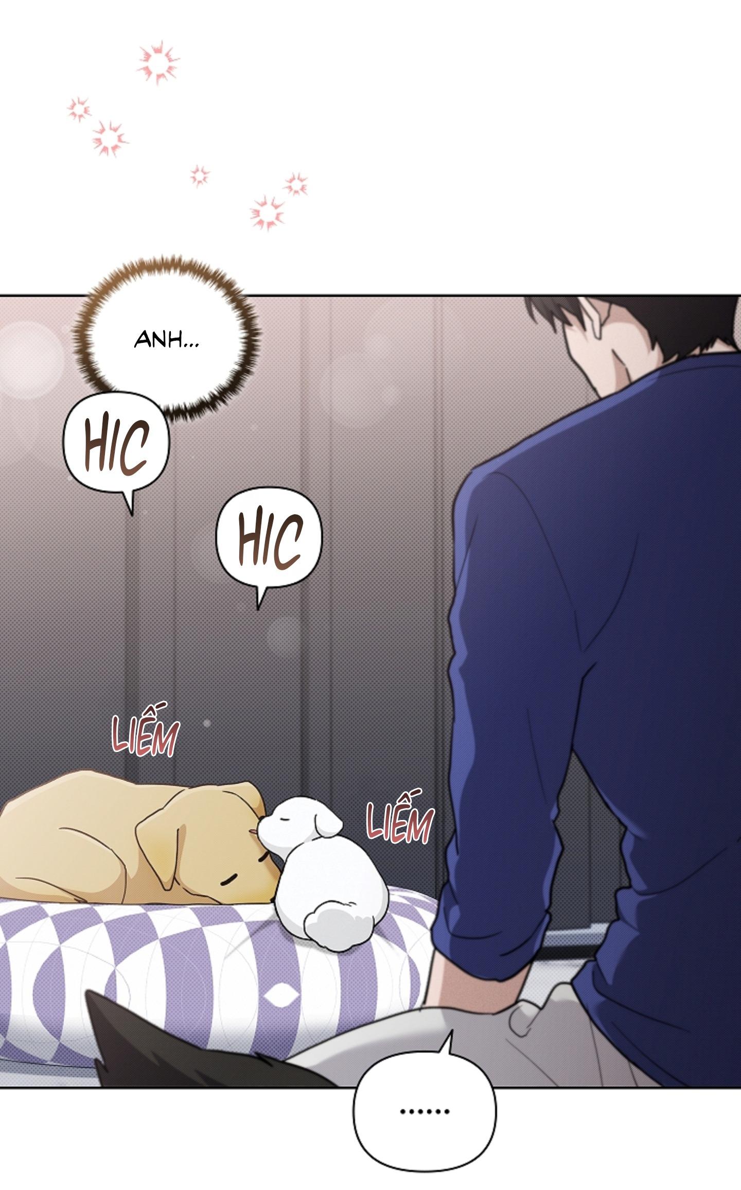 ĐỪNG ĐỘNG VÀO CÚN CON! Chapter 44.03 H - Next 