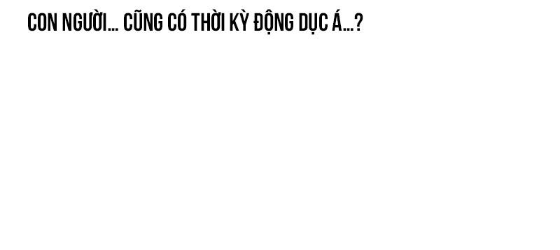 Đến gặp Idol nào! Chapter 10 - Next 