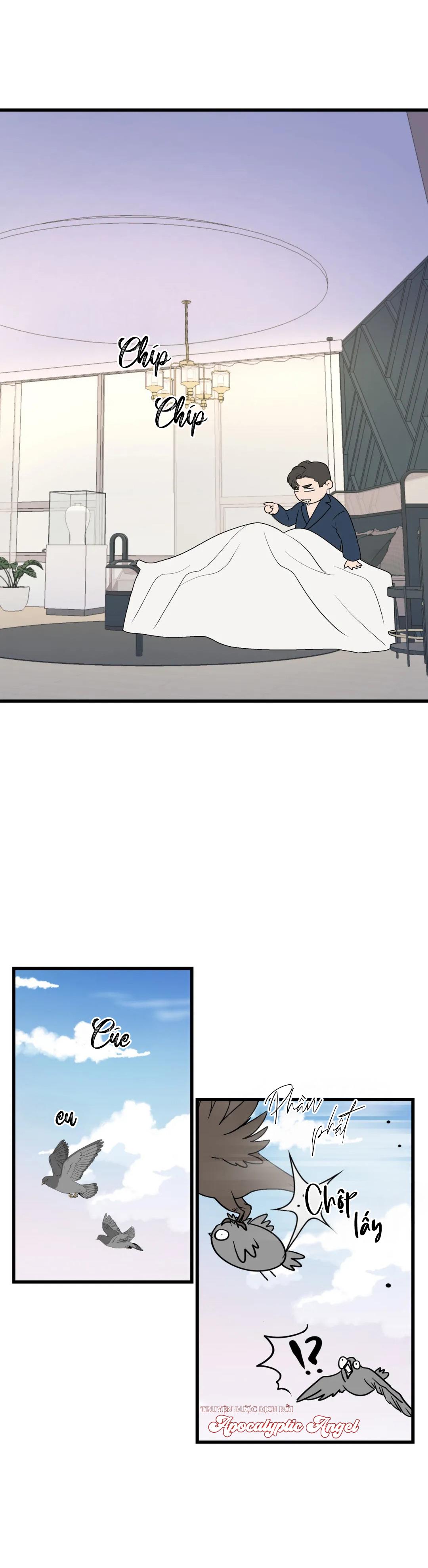 Tôi Từ Trợ Lý Đến Làm Idol Chapter 11 - Next 