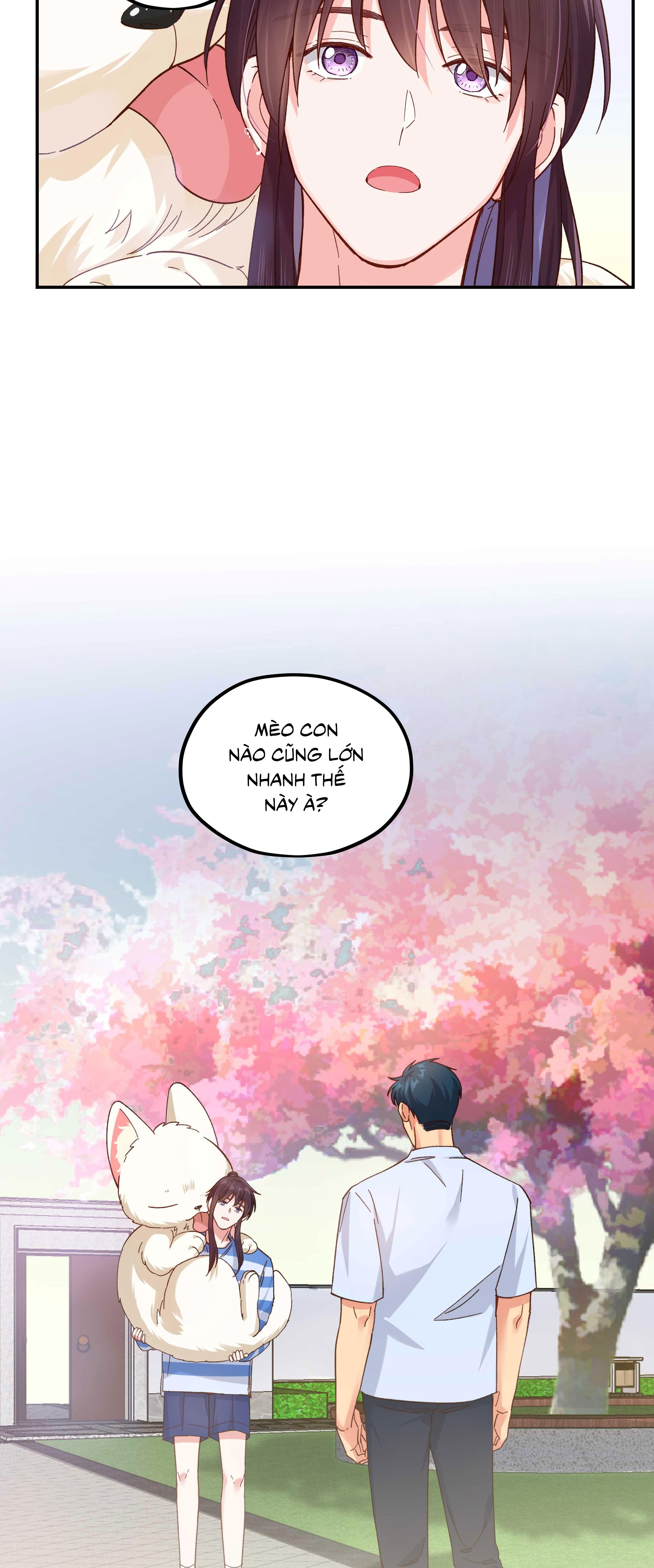 Quán cơm tỳ hưu Chapter 121 - Trang 2