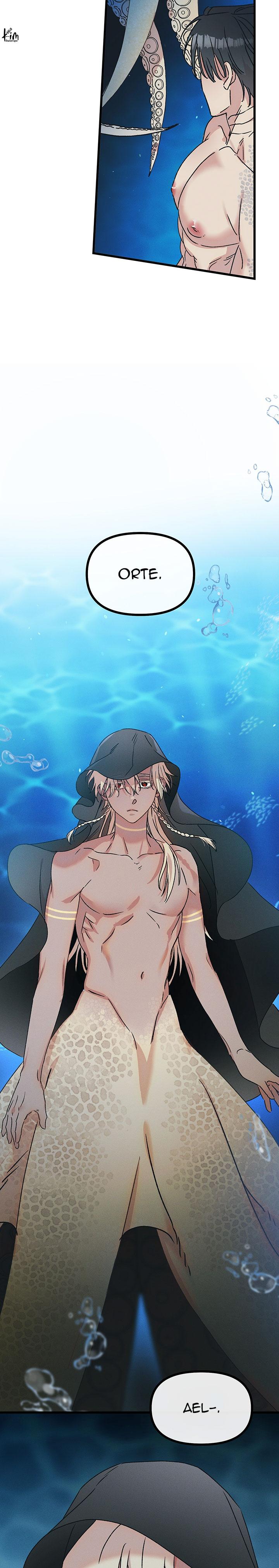 Mermaid's Cradle Chapter 1 - Next 