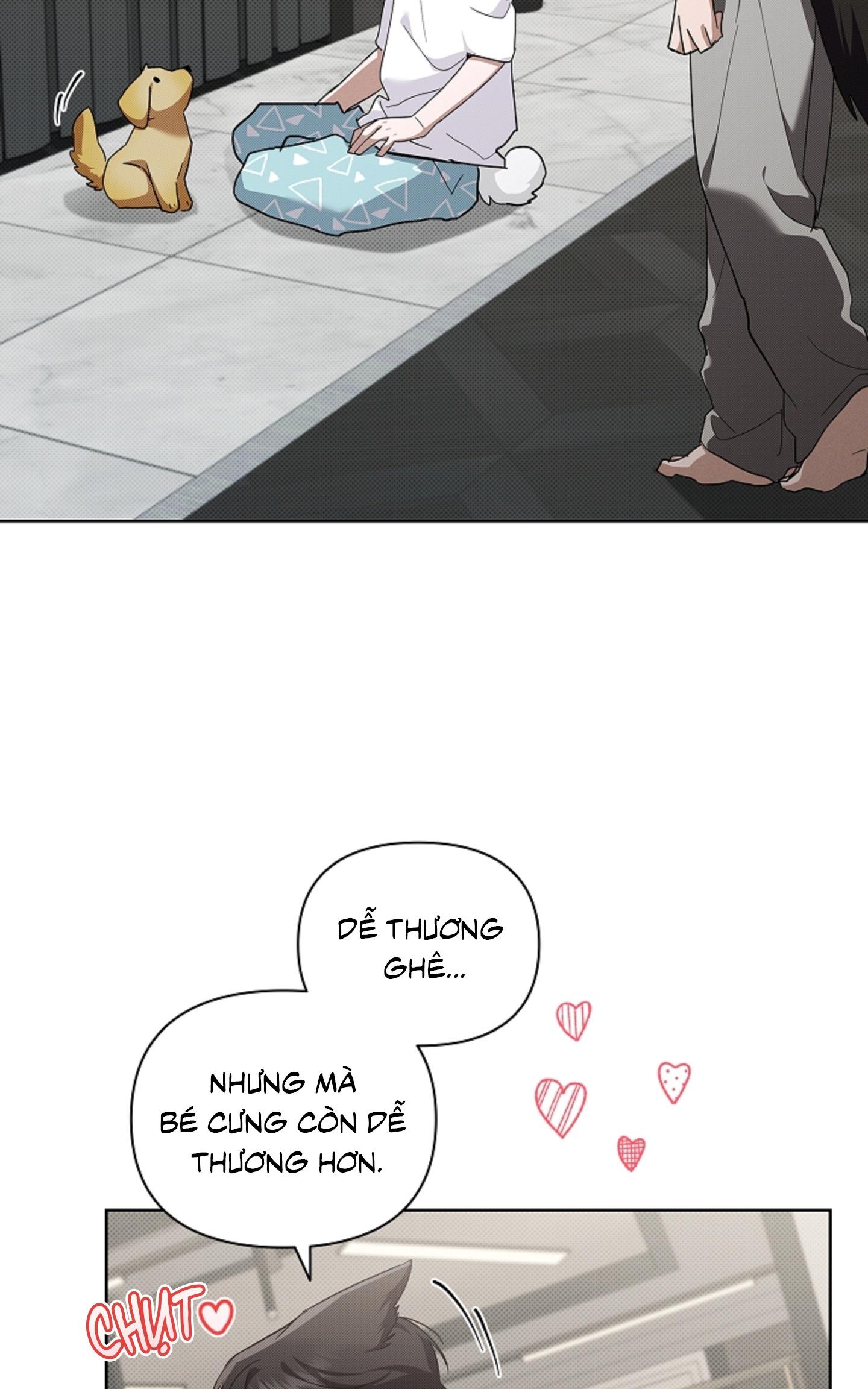 ĐỪNG ĐỘNG VÀO CÚN CON! Chapter 44.02 - Next 