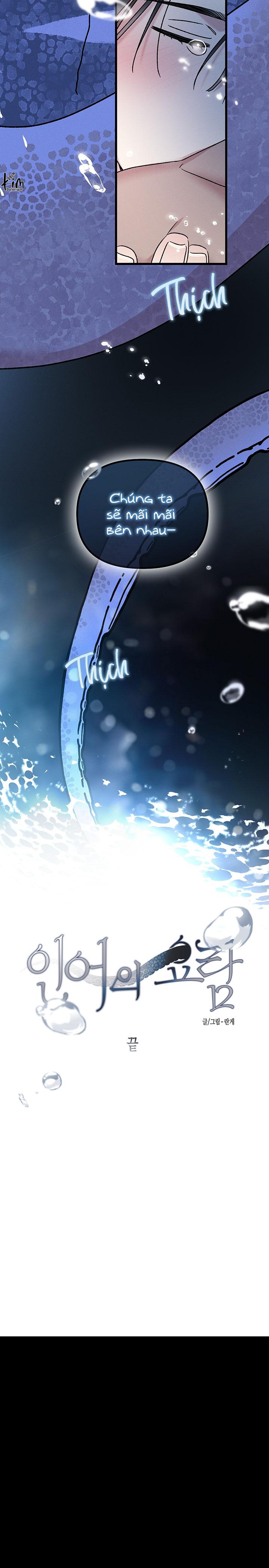 Mermaid's Cradle Chapter 12 - Next 