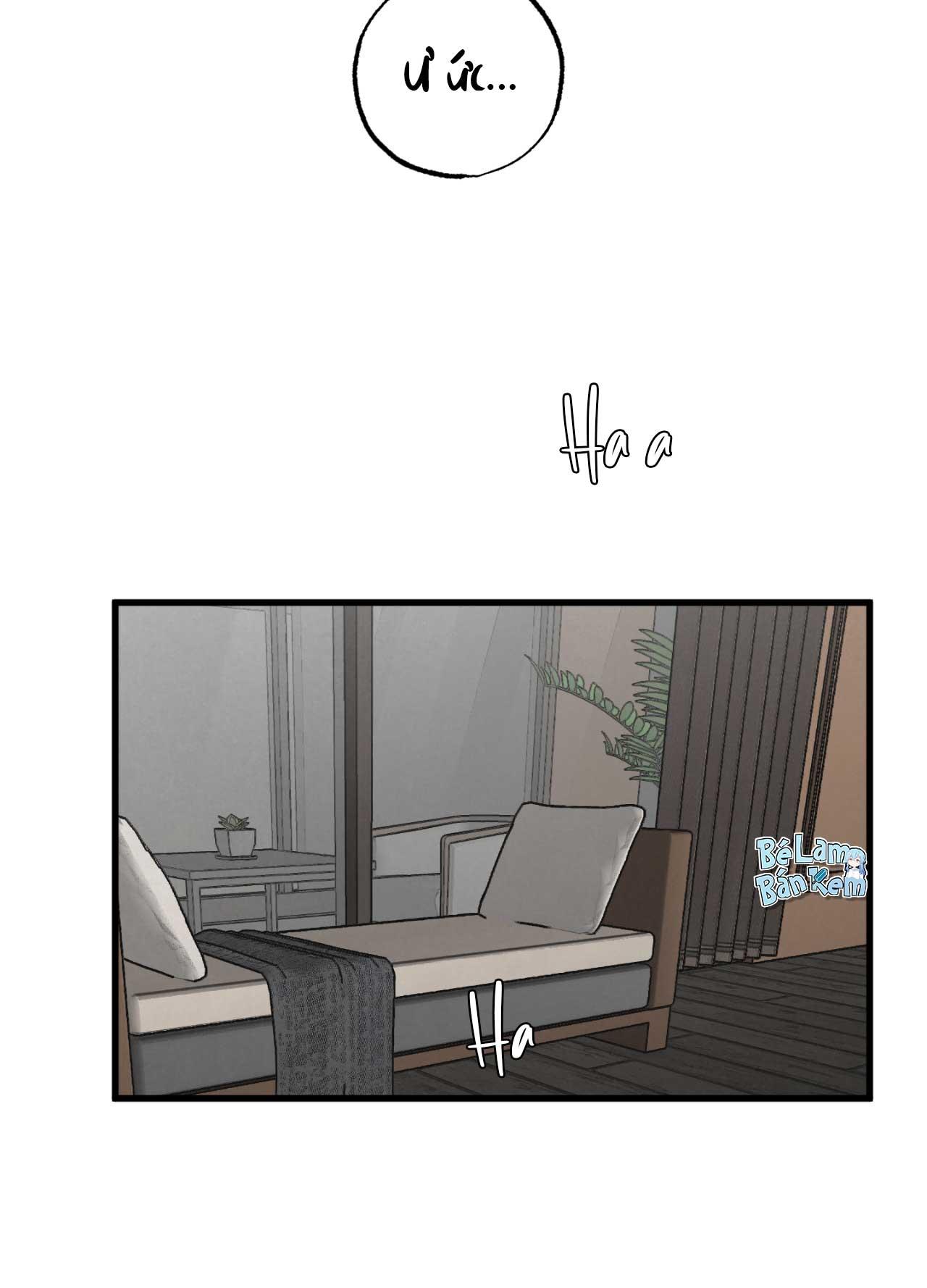 CẶP ĐÔI HOÀN HẢO Chapter 48 - Next Chapter 49