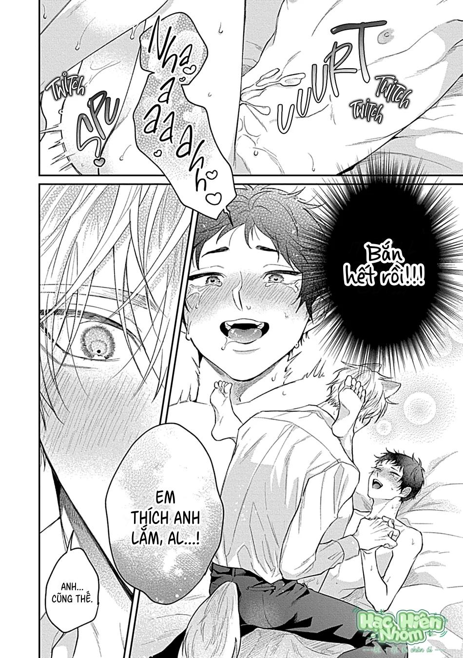 Nhìn vào em này Chapter 12 Hachiennhom - Next 