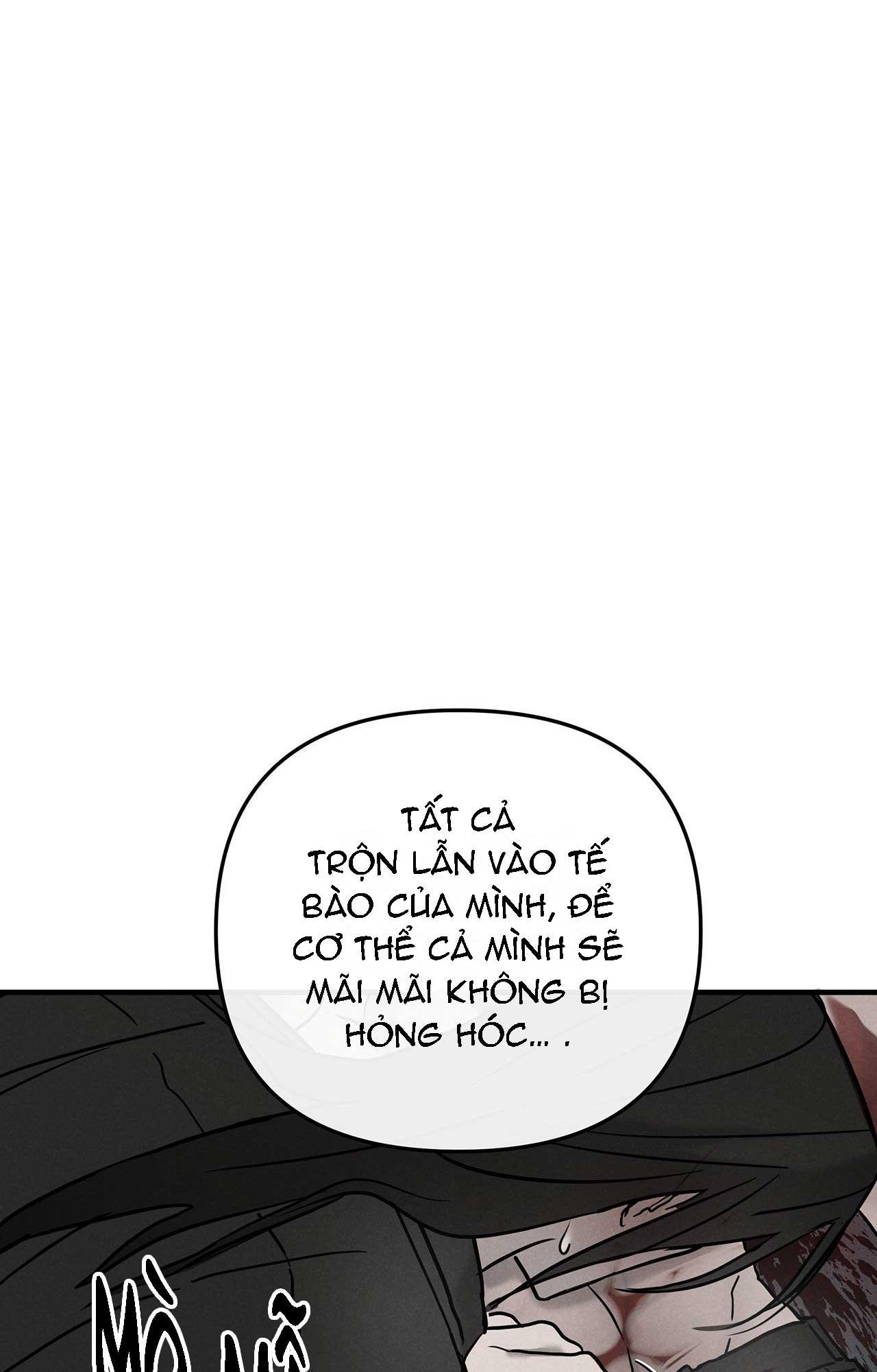 FIETA Chapter 23 - Next 