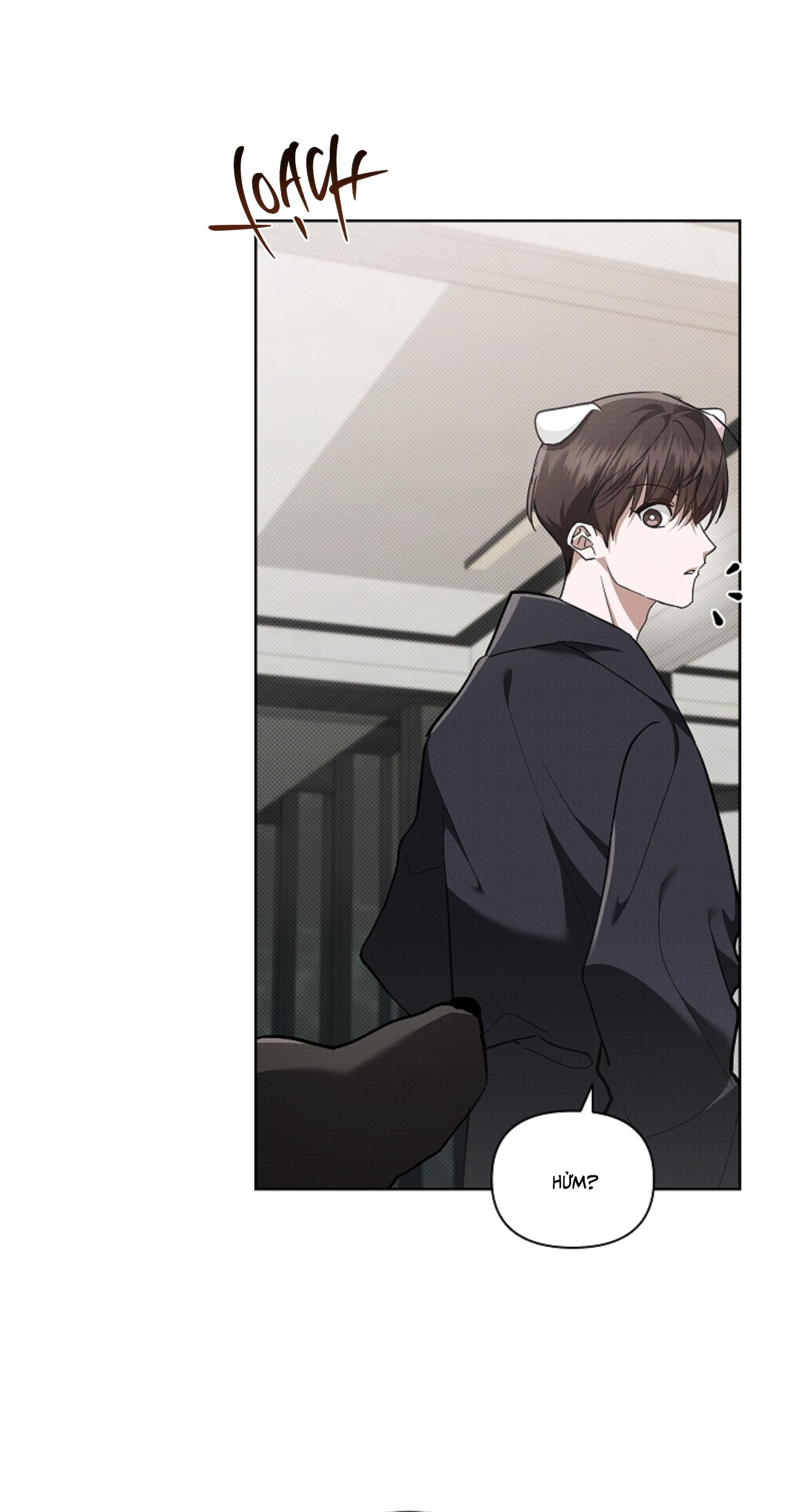 ĐỪNG CHẠM VÀO CÚN CON CỦA TÔI Chapter 45 NT 1 - Next 