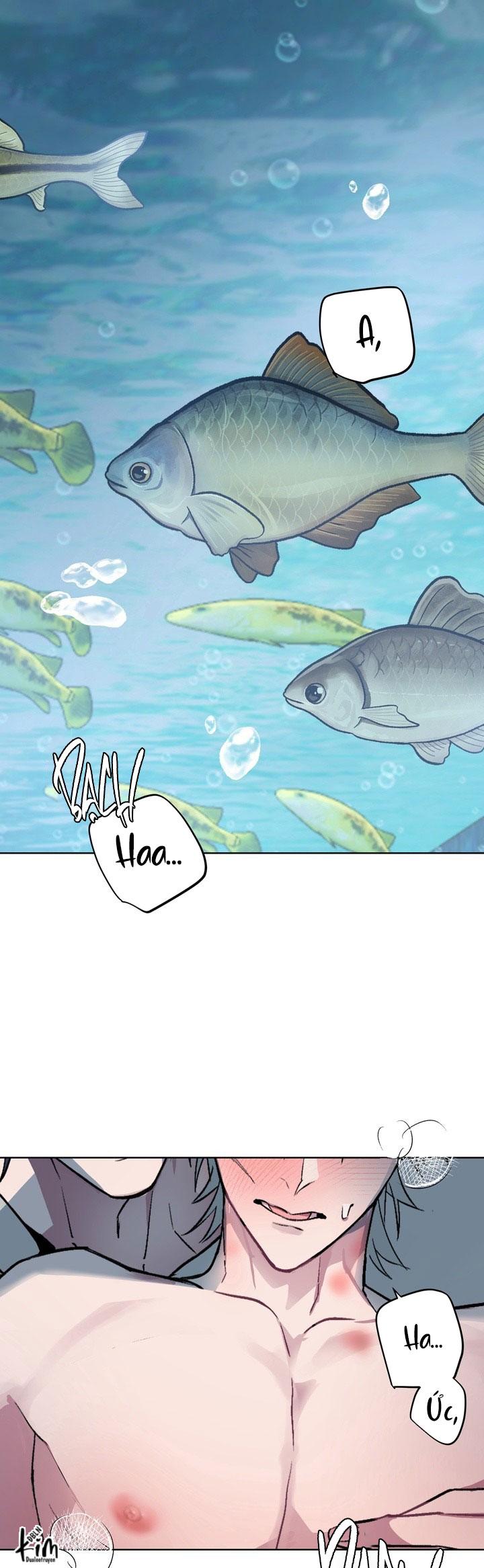 Room Without Windows Chapter 16 - Next 