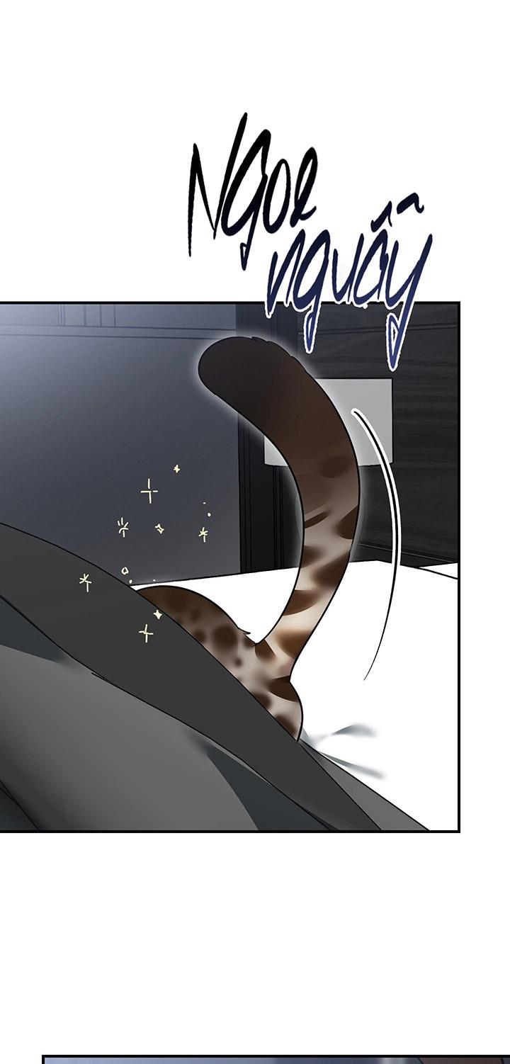 [DDT] HÃY SINH NHẤT MIÊU HÀI WILDCAT, NHƯ BẤT DỤC KIẾN NGÃ PHÁT CUỒNG! Chapter 1 19+ - Trang 2