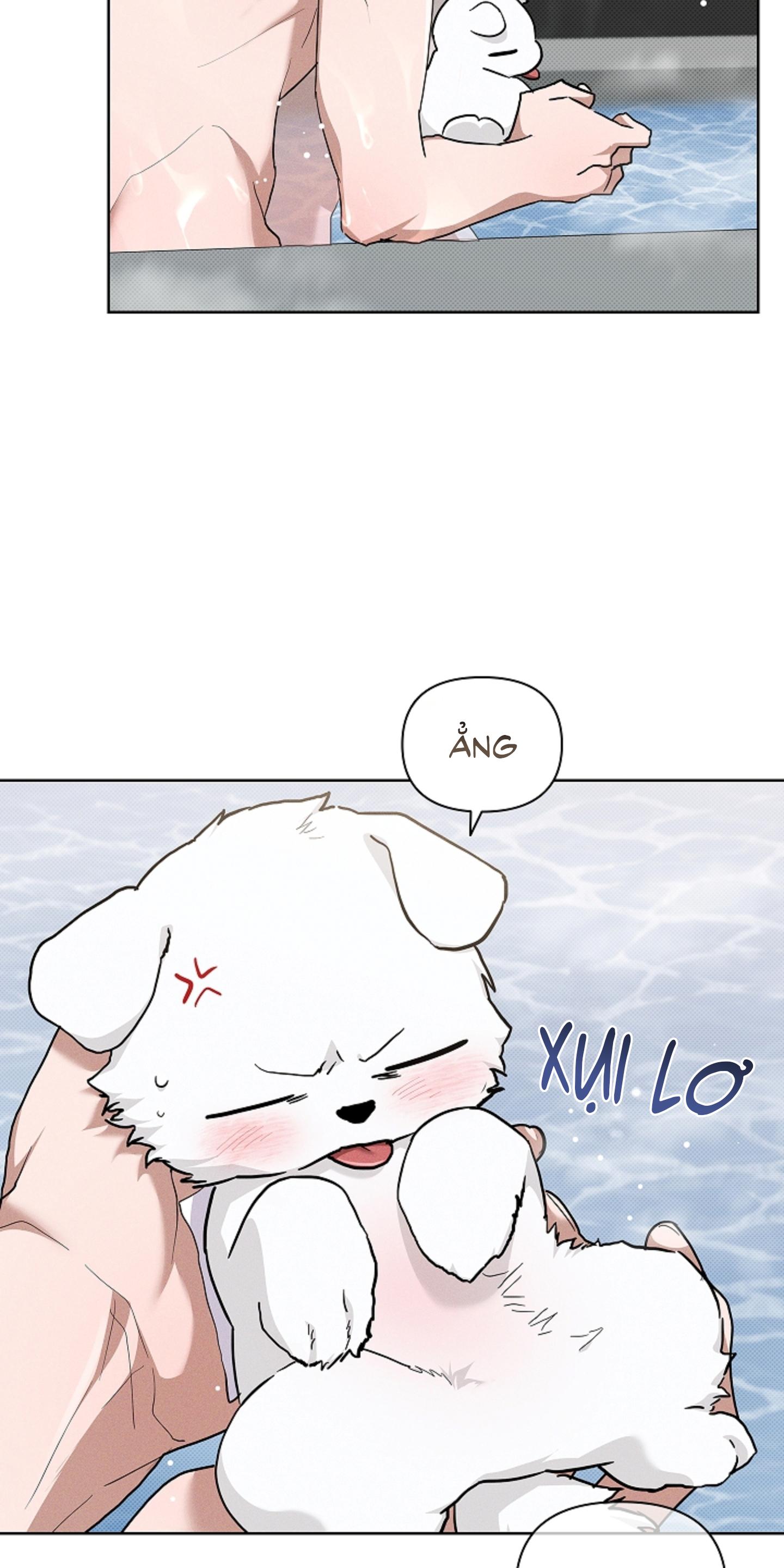 ĐỪNG ĐỘNG VÀO CÚN CON! Chapter 44 - Next 