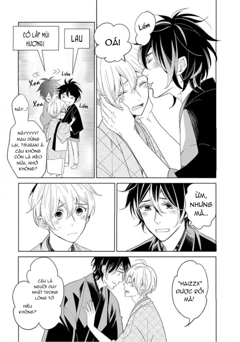 Vào Một Đêm Đầy Sao, Tình Yêu Đã Đến Chapter 5 - Next 
