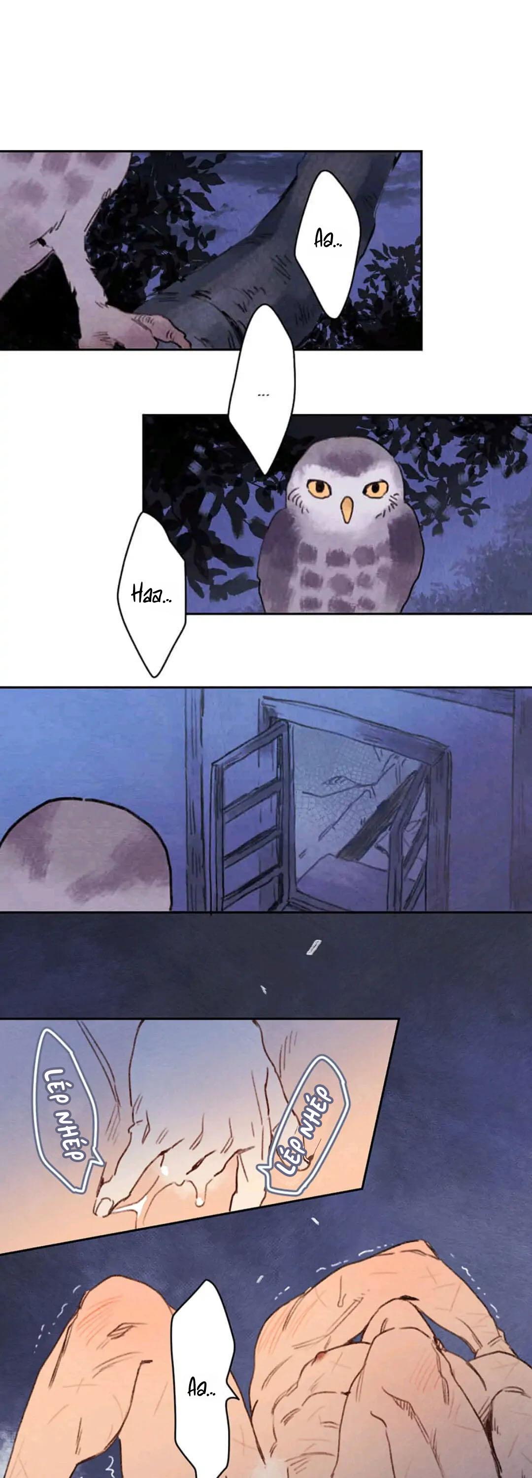 Rix Venus Chapter 70 H - Next 