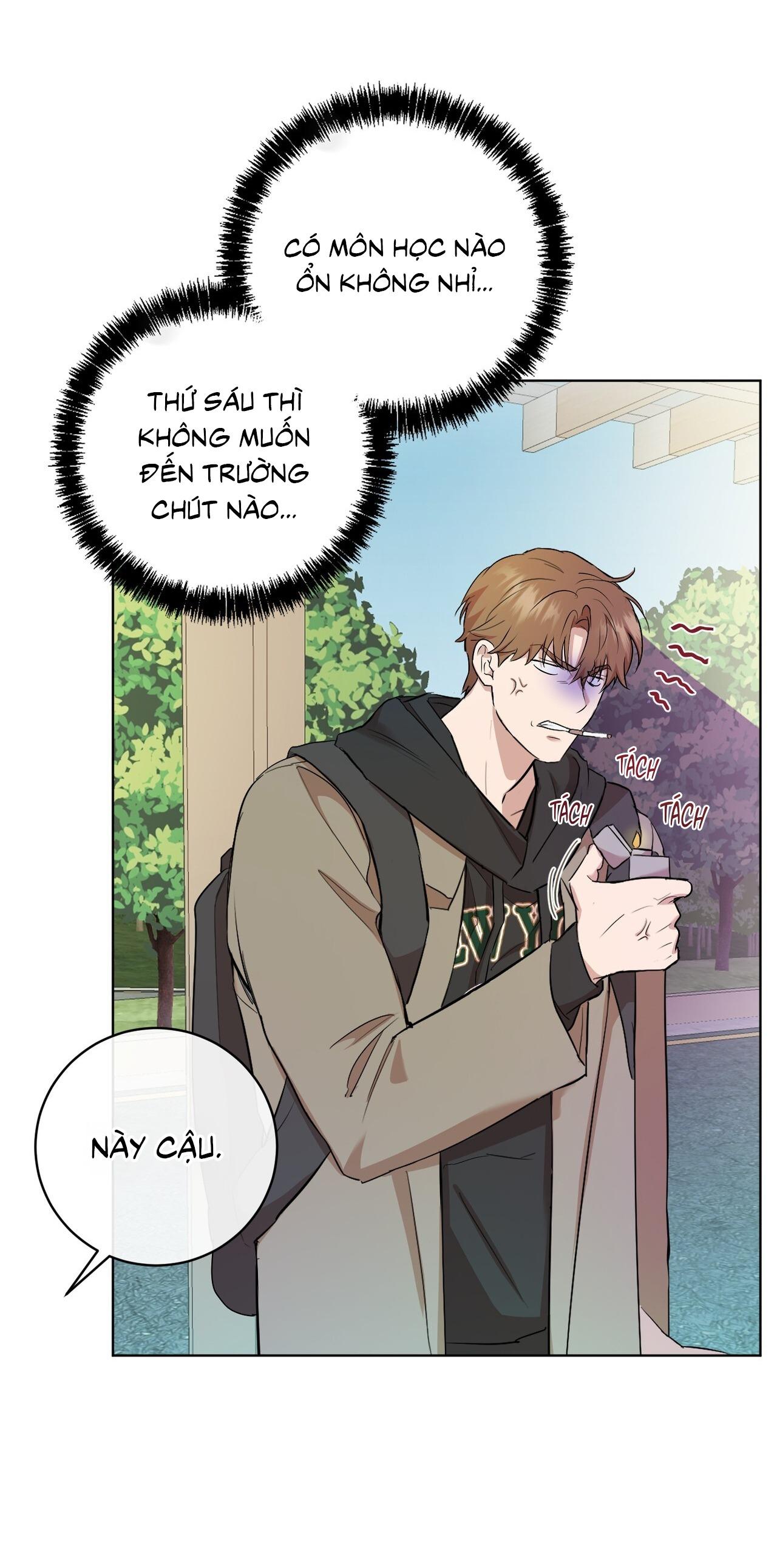 TÌNH YÊU KẸO BẠC HÀ Chapter 1 - Next 