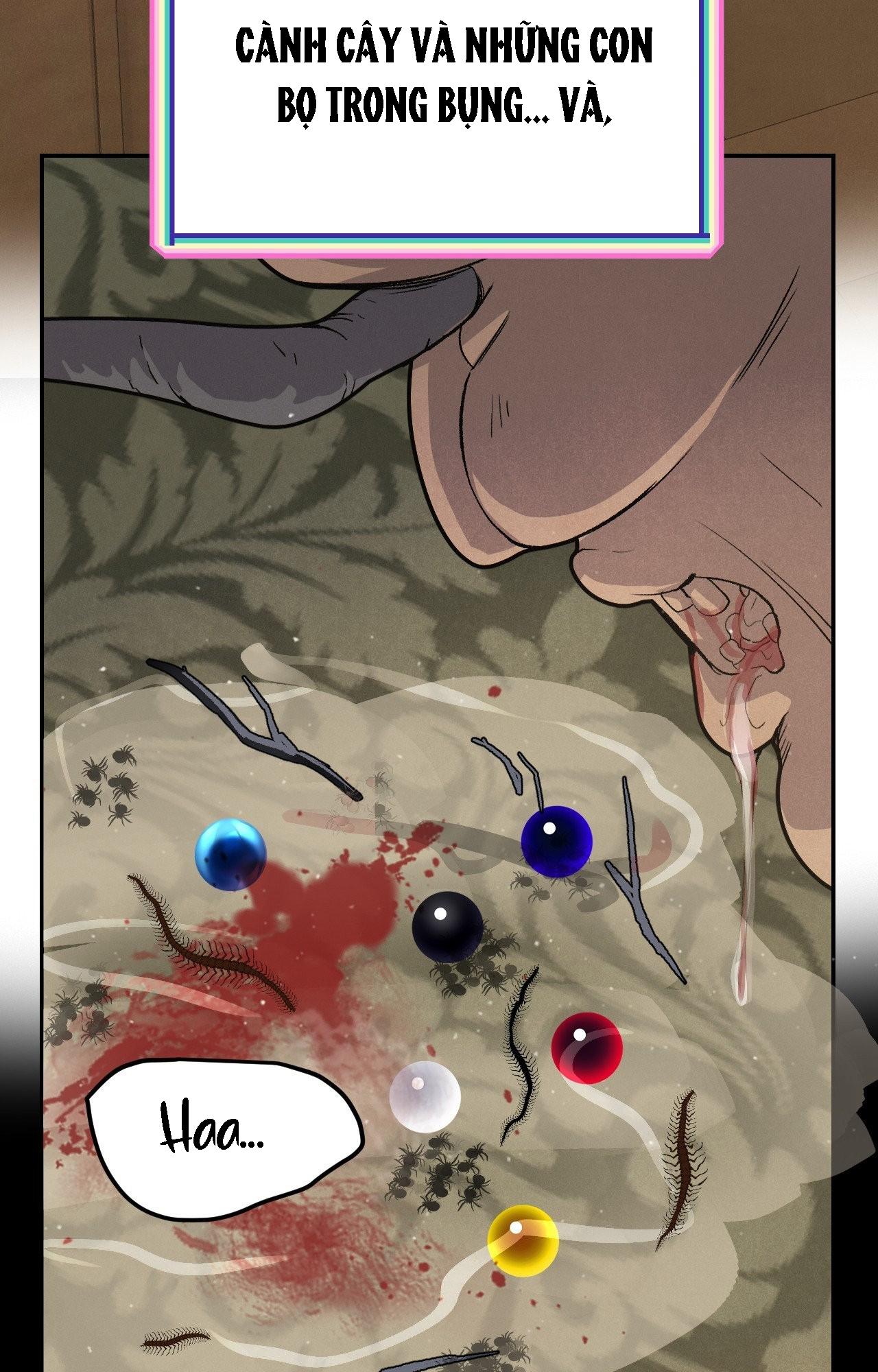 CẬU BÉ ĐÀO Chapter 41 - Trang 2