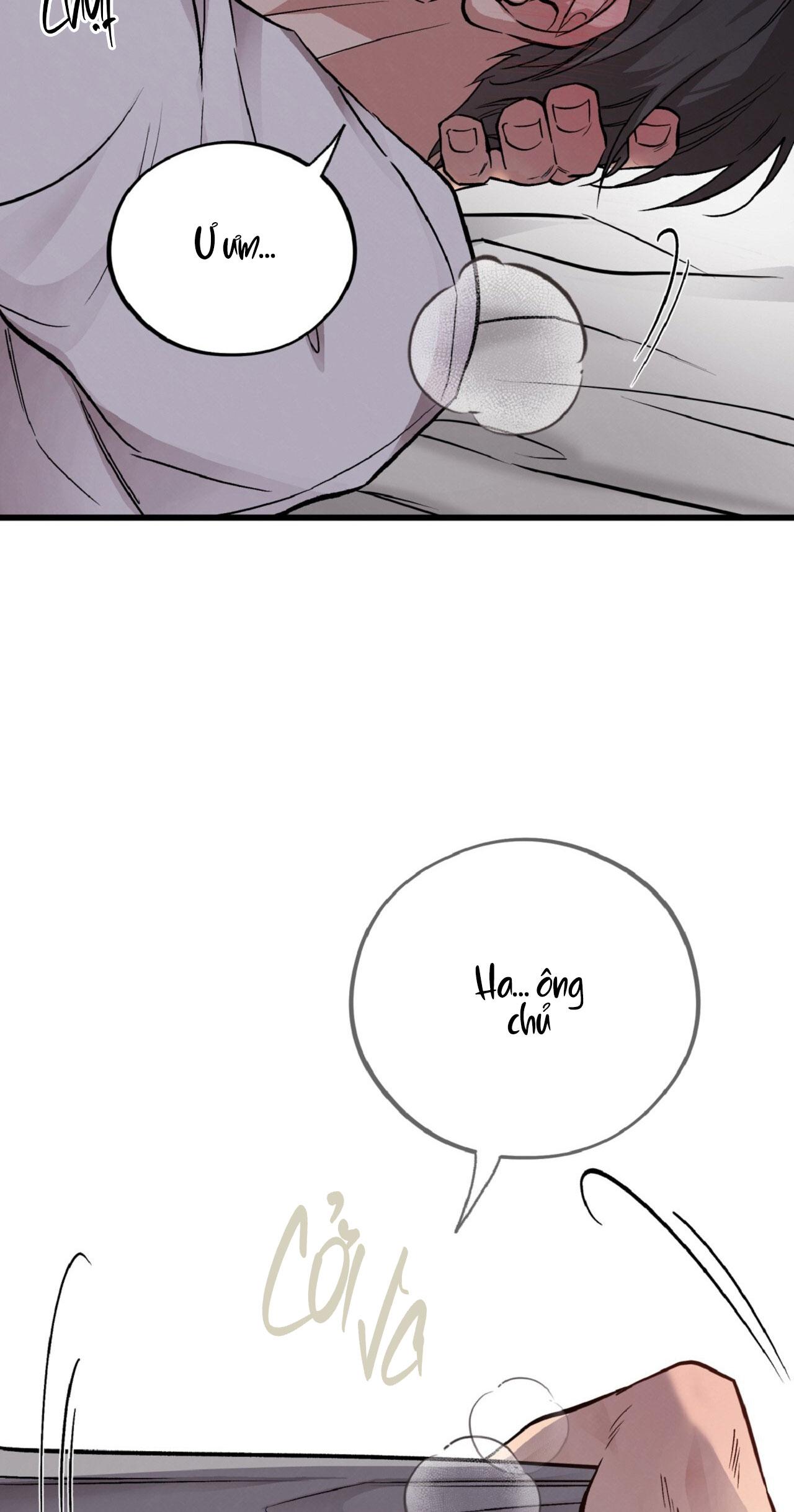 HONEY BEAR Chapter 64 - Next 