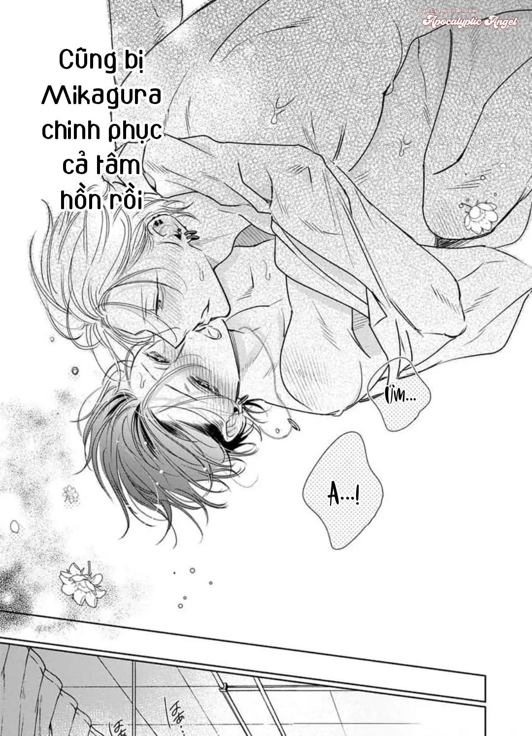 Ngọn Giáo Bất Bại VS Tấm Khiên Bất Phá Chapter 5 - Next Chapter 5.5