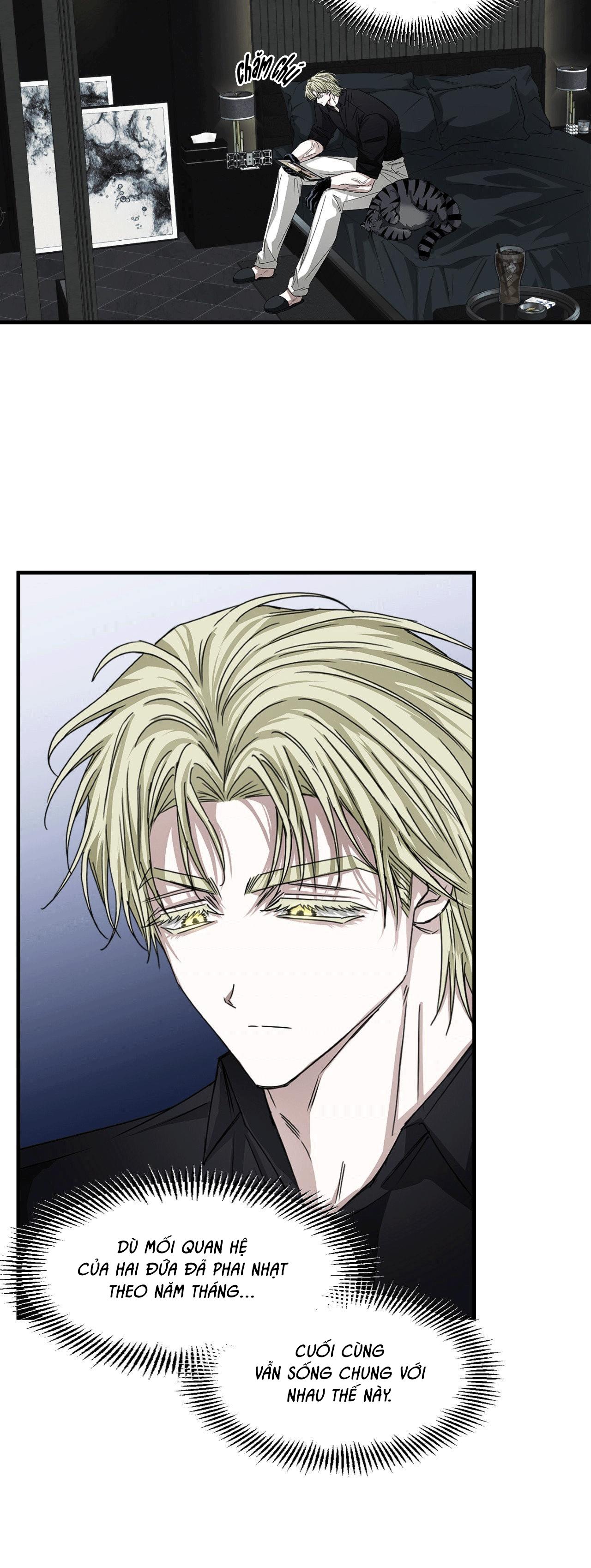 MẮT BÃO Chapter 14 - Next 