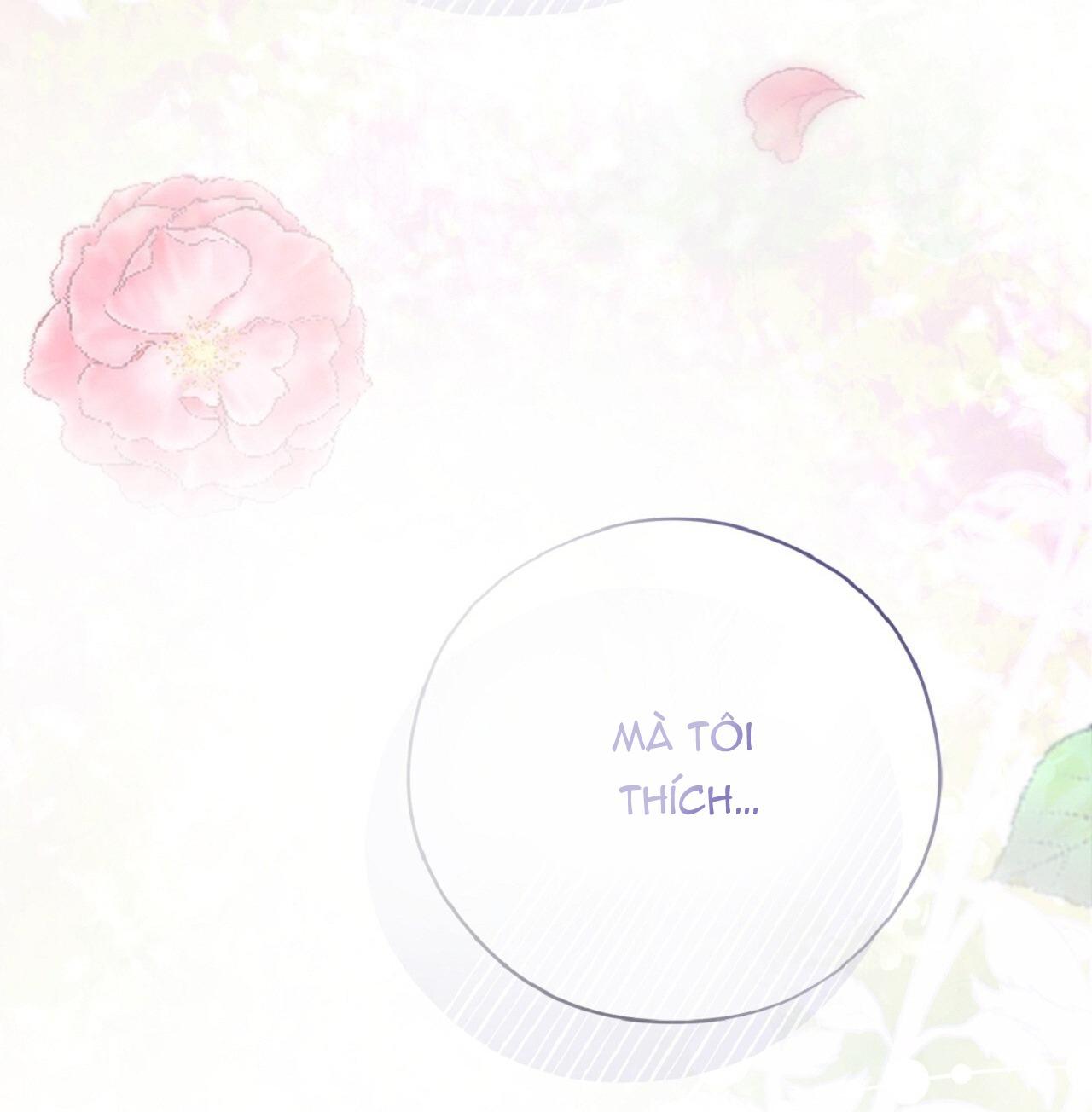 HONEY BEAR Chapter 70 - Trang 2