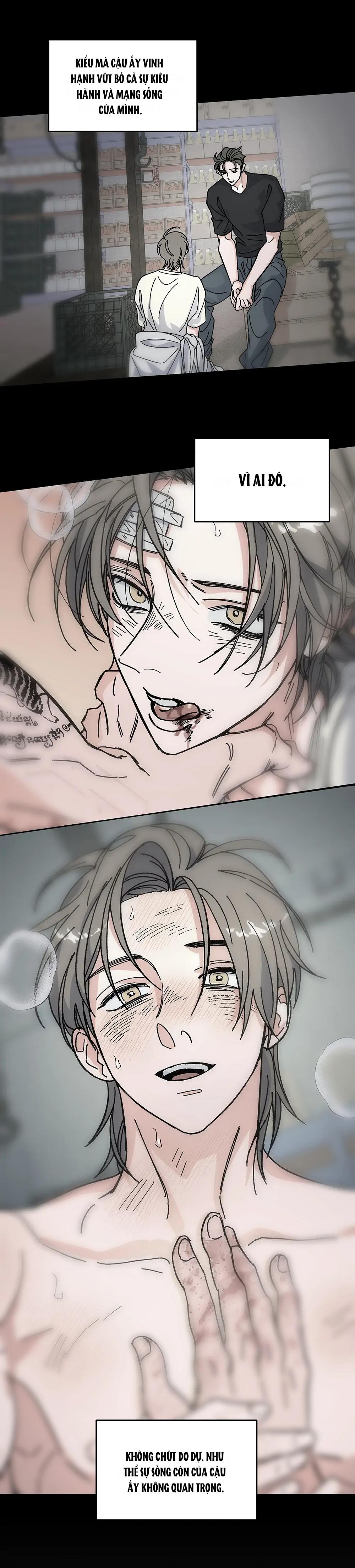 Kế Hoạch Trốn Thoát Chapter 11 - Next Chapter 12