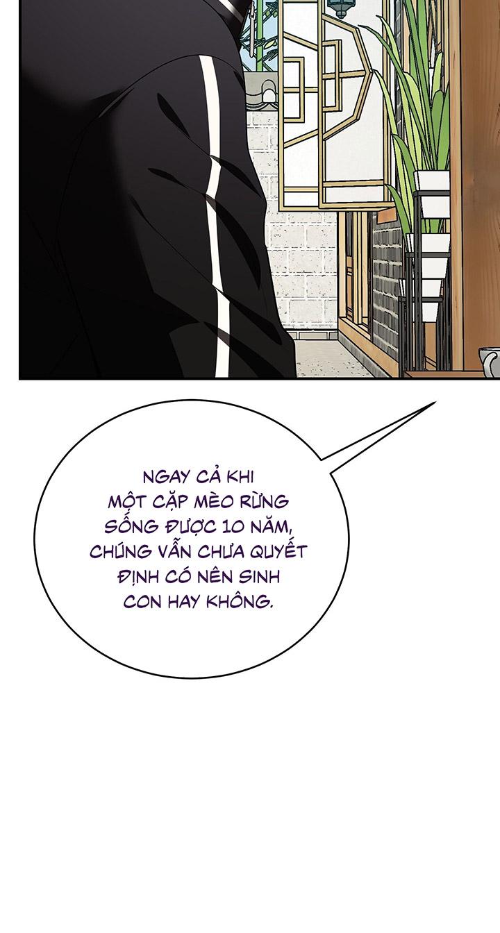 [DDT] HÃY SINH NHẤT MIÊU HÀI WILDCAT, NHƯ BẤT DỤC KIẾN NGÃ PHÁT CUỒNG! Chapter 1 19+ - Trang 2