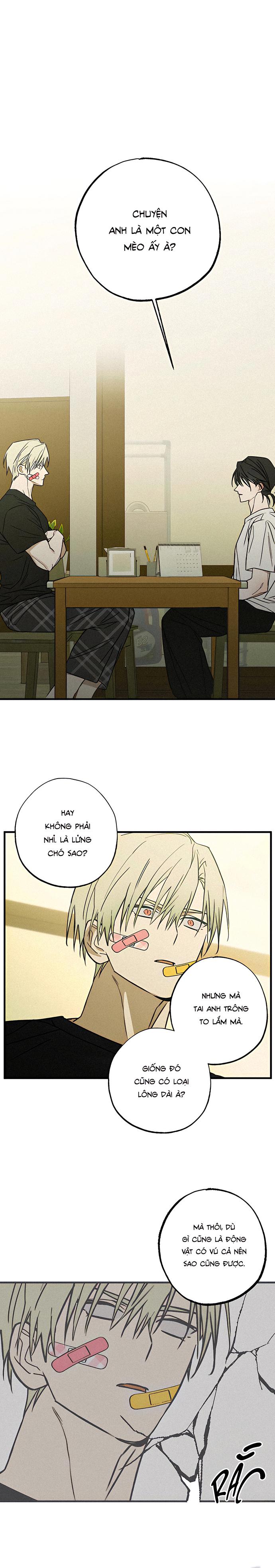 Chứng Nhận Quan Hệ Gia Đình Chapter 4 - Trang 2